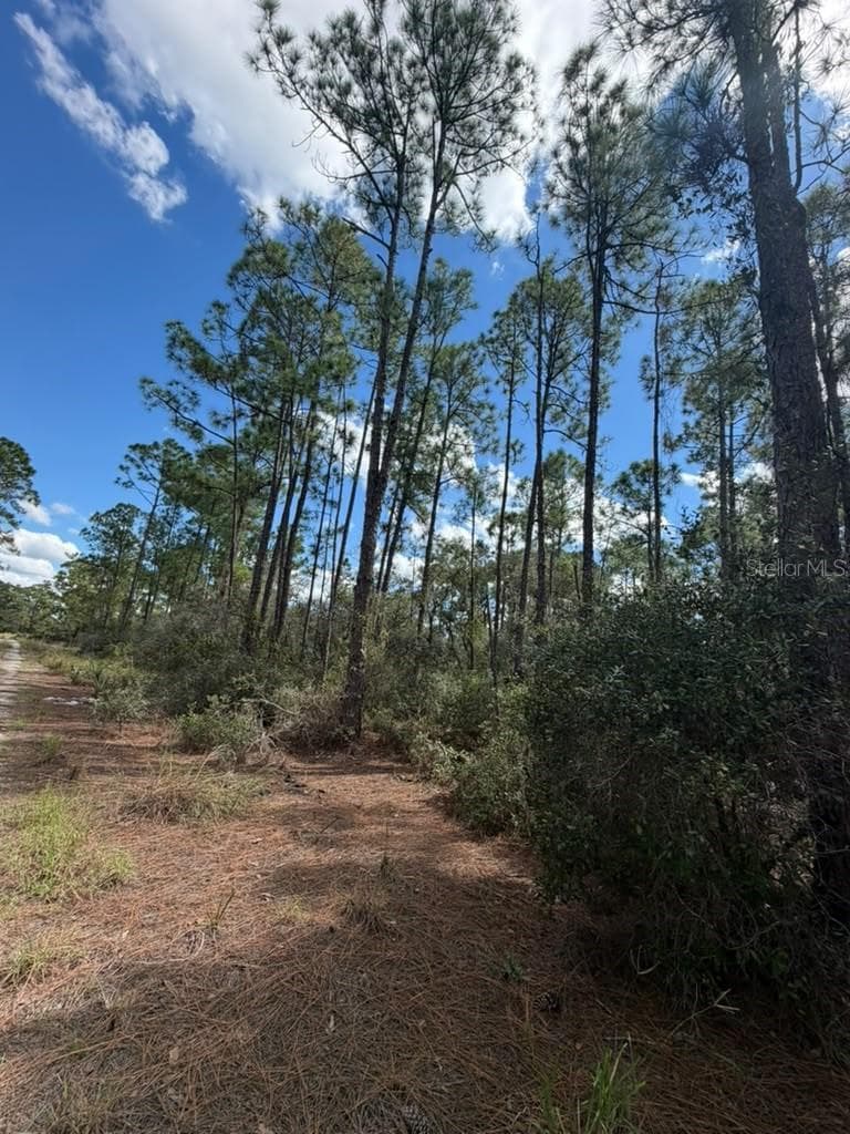 Land at 421 AMOROUS AVE, LAKE PLACID, photo 2 of 2