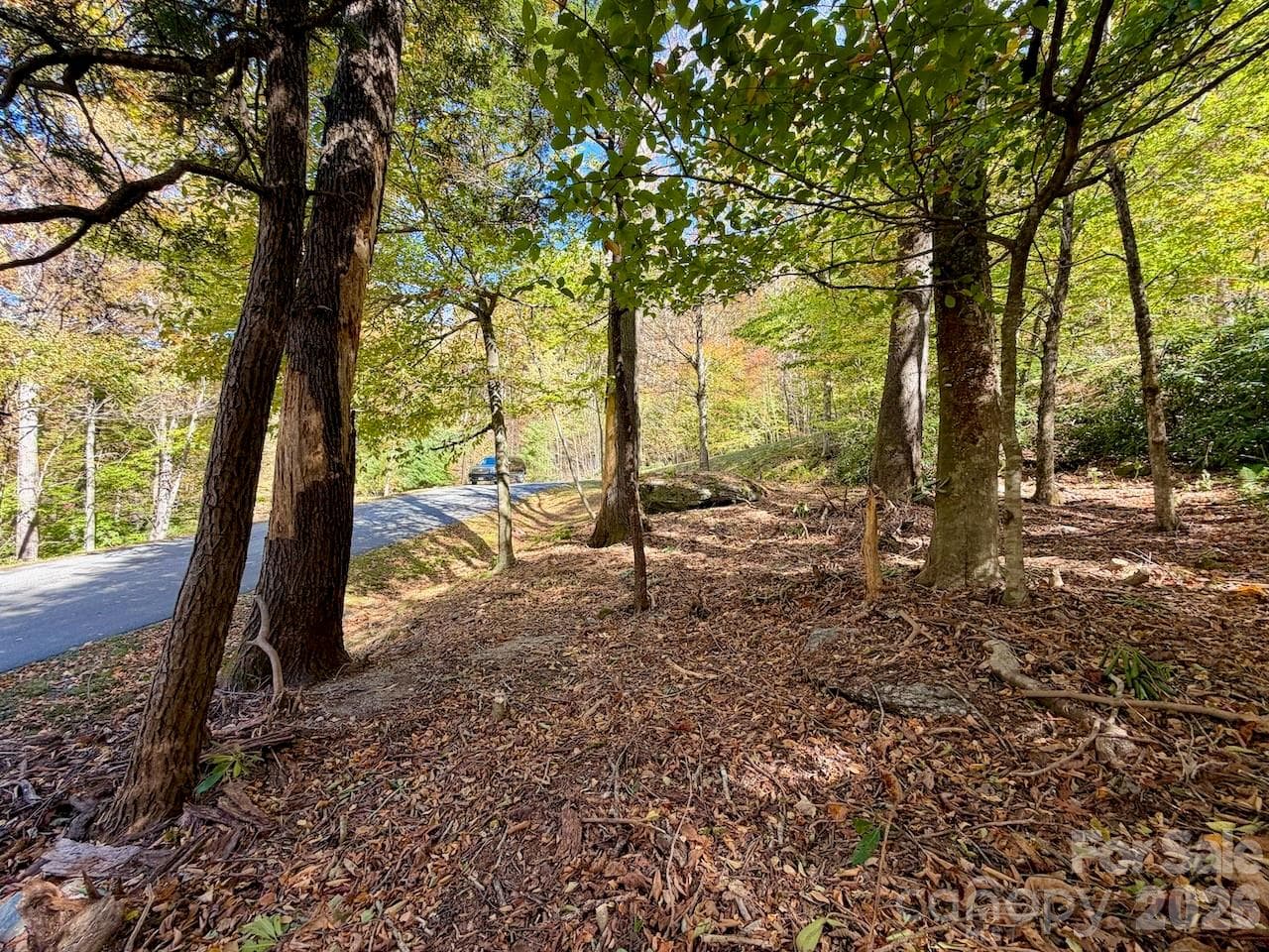 Lot at 125 Stoneledge Lane, Blowing Rock, photo 4 of 33