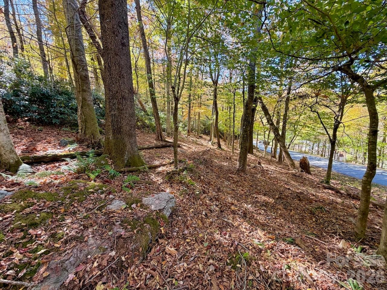 Lot at 125 Stoneledge Lane, Blowing Rock, photo 6 of 33