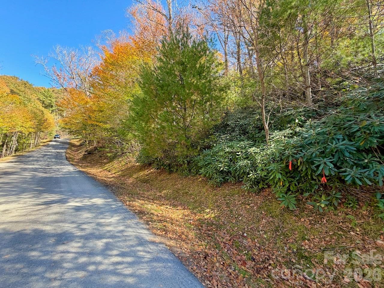 Lot at 125 Stoneledge Lane, Blowing Rock, photo 7 of 33