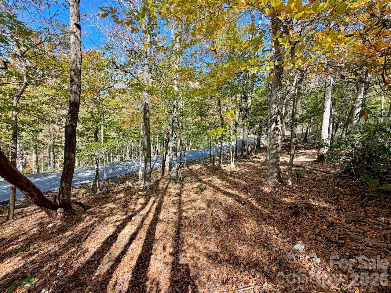 Lot at 125 Stoneledge Lane, Blowing Rock, photo 8 of 33