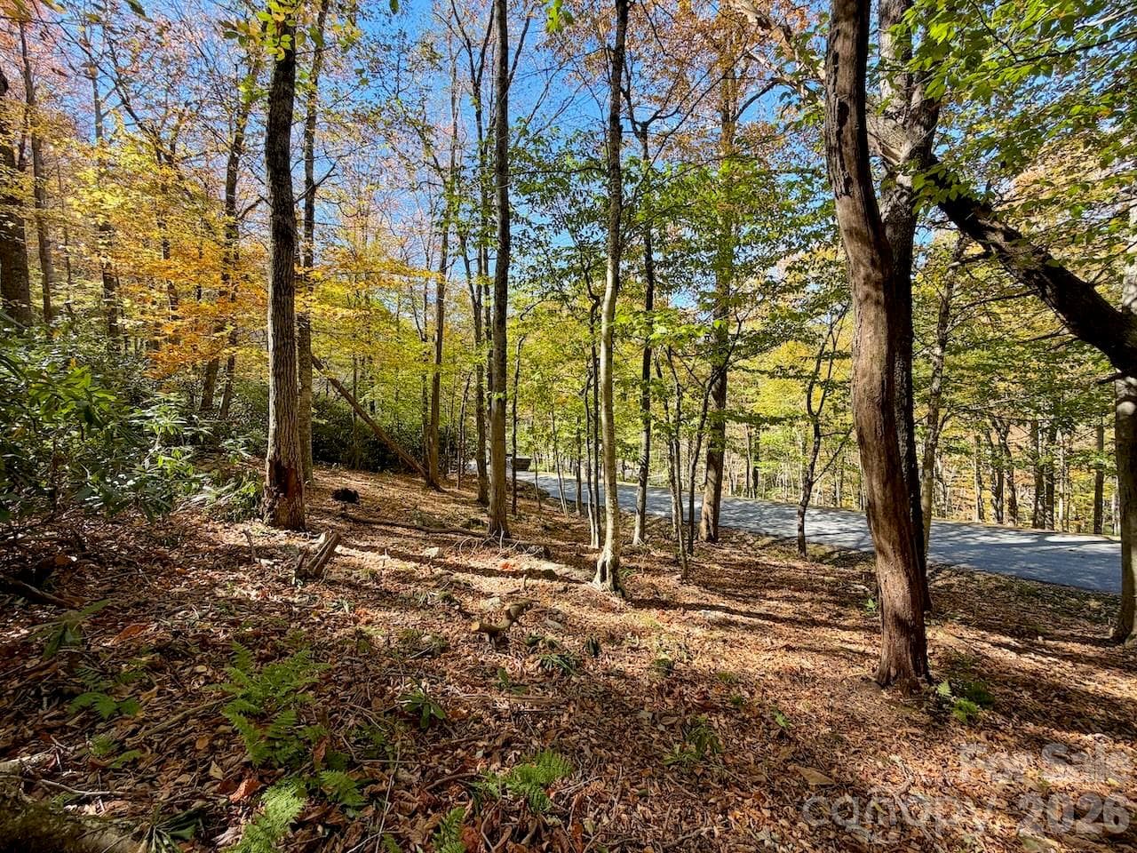 Lot at 125 Stoneledge Lane, Blowing Rock, photo 11 of 33