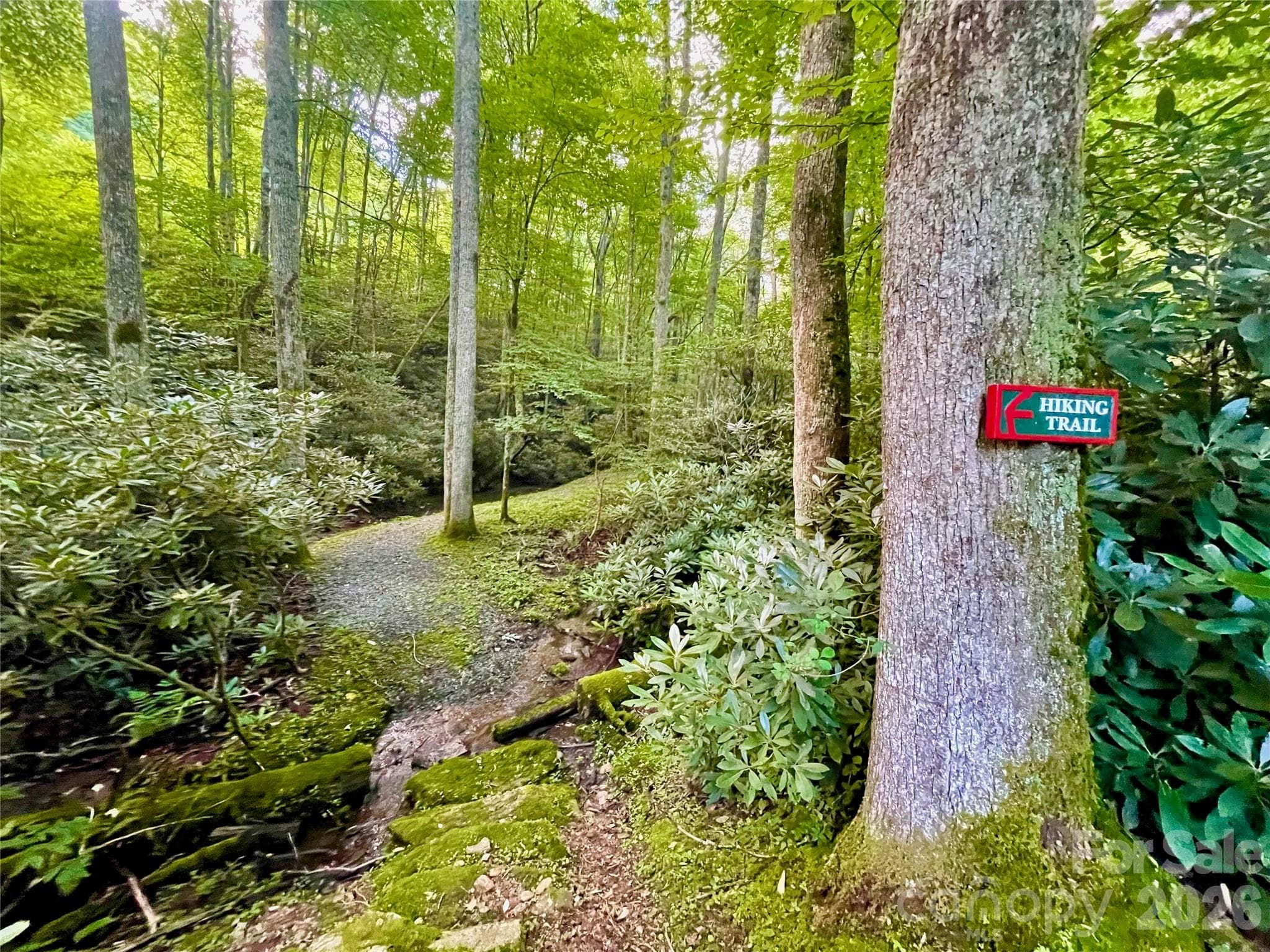 Lot at 125 Stoneledge Lane, Blowing Rock, photo 31 of 33