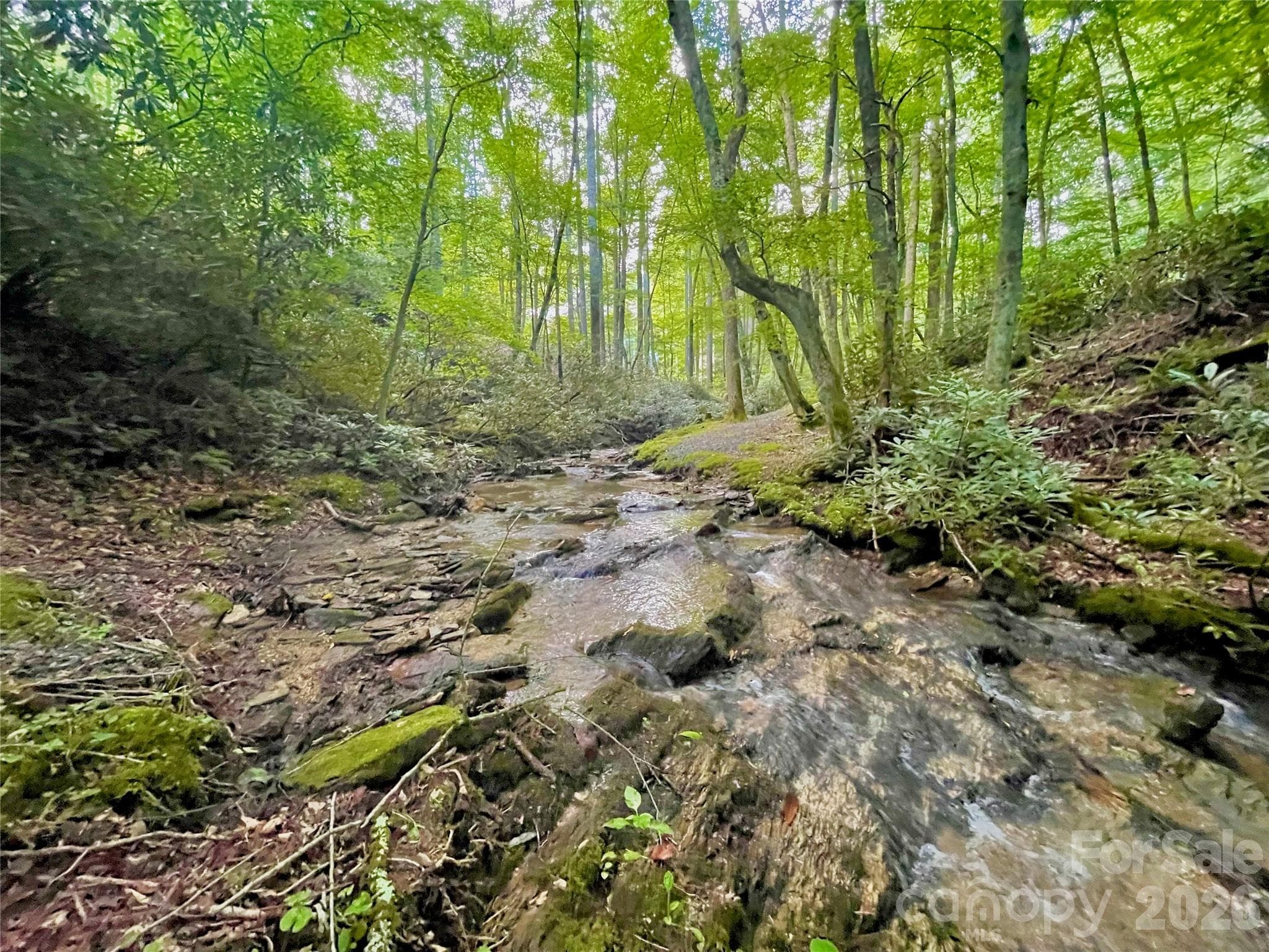 Lot at 125 Stoneledge Lane, Blowing Rock, photo 32 of 33
