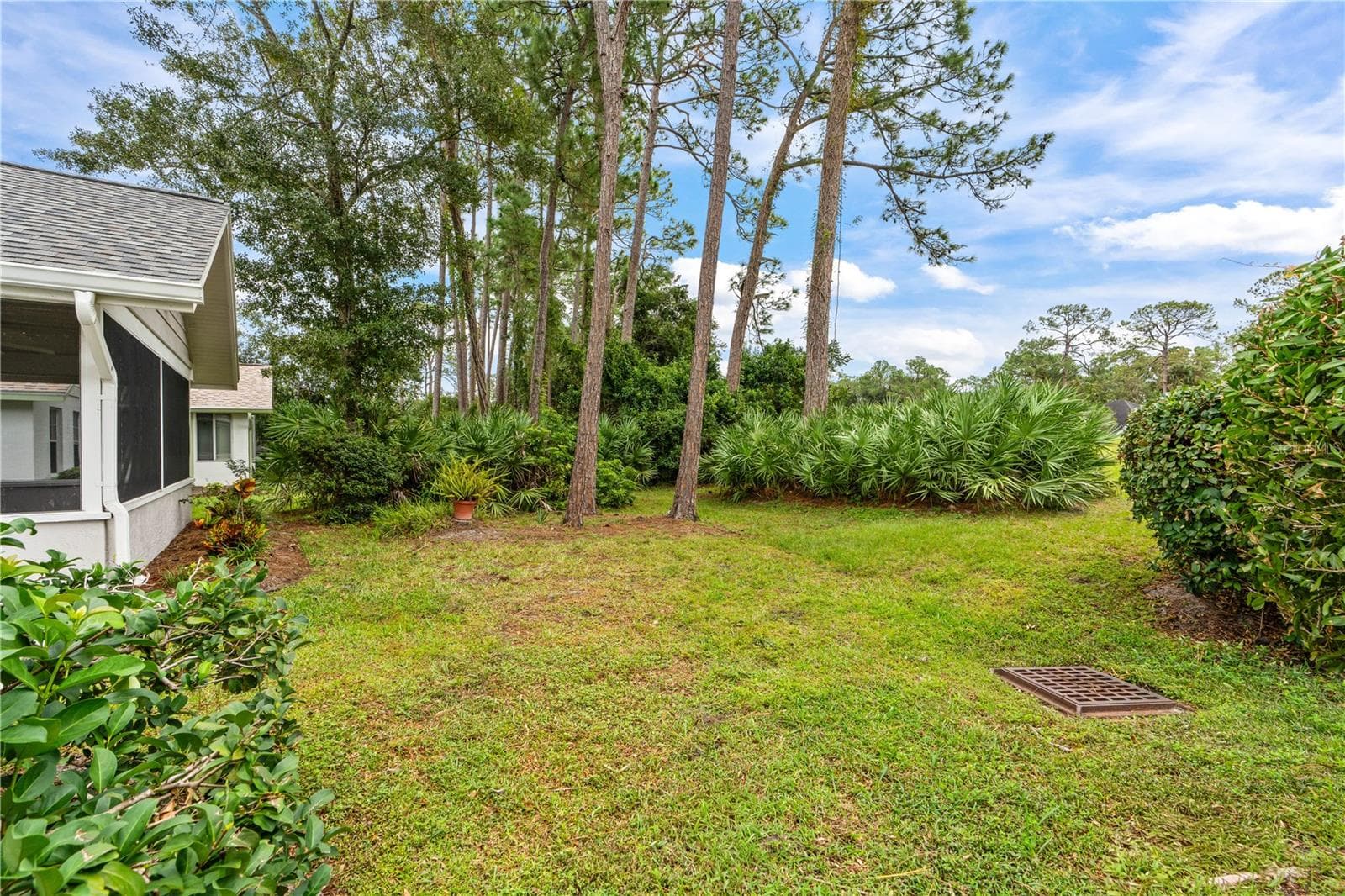 Backyard - 245 GLENBRIAR CIR, DAYTONA BEACH