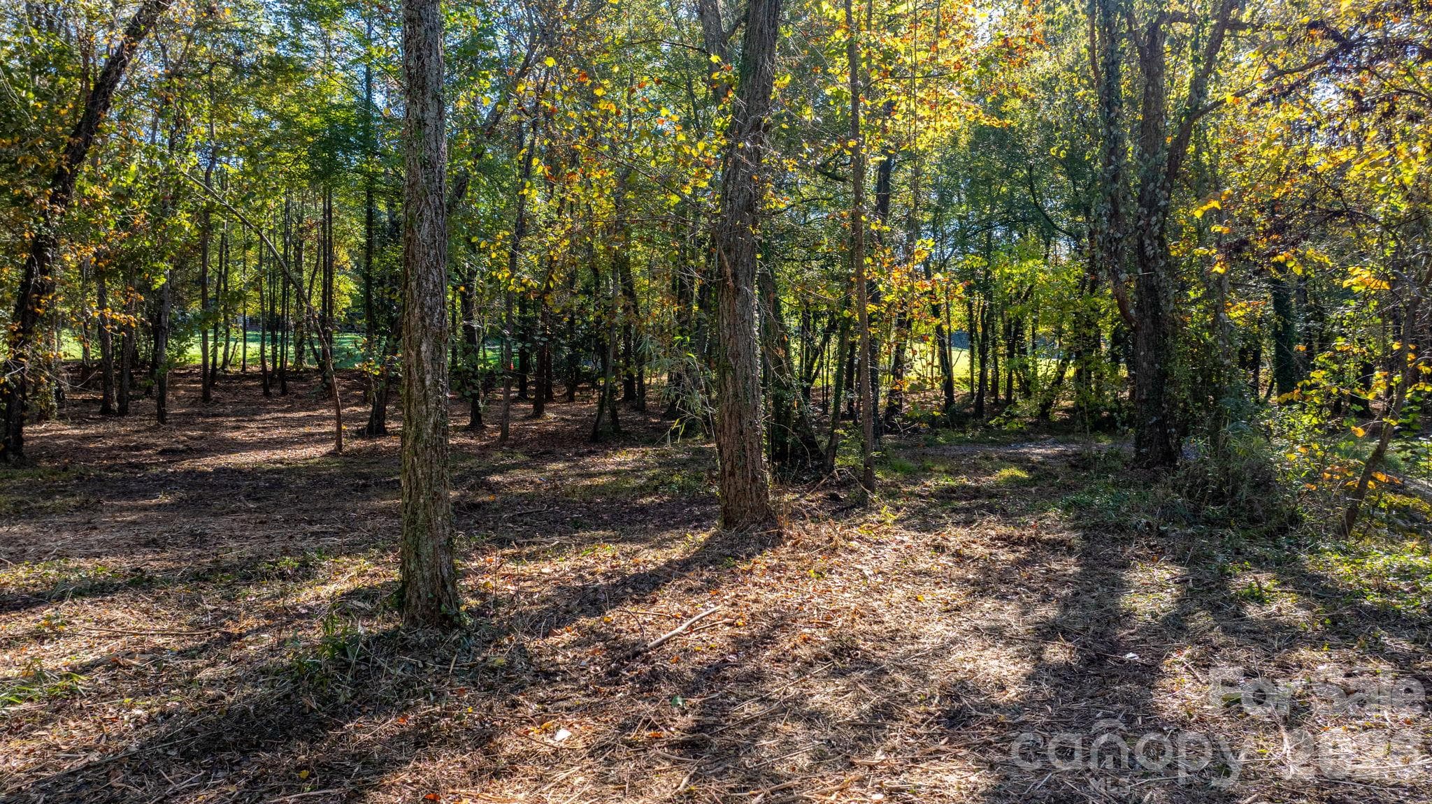 Acreage at 00 6th Street NW, Hickory, photo 2 of 38