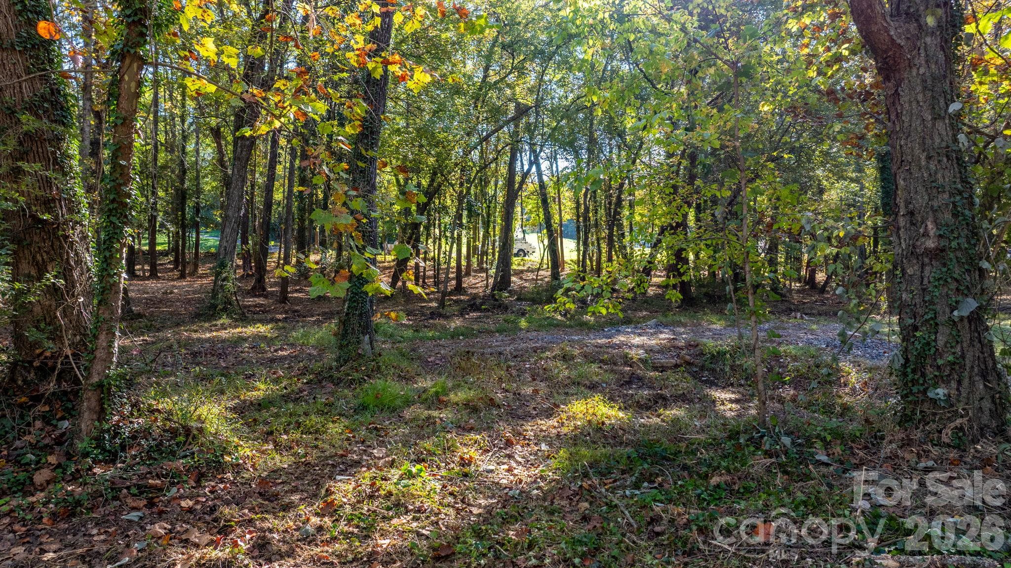 Acreage at 00 6th Street NW, Hickory, photo 3 of 38