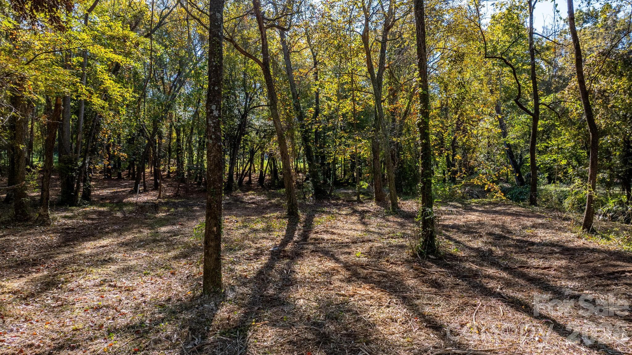 Acreage at 00 6th Street NW, Hickory, photo 10 of 38