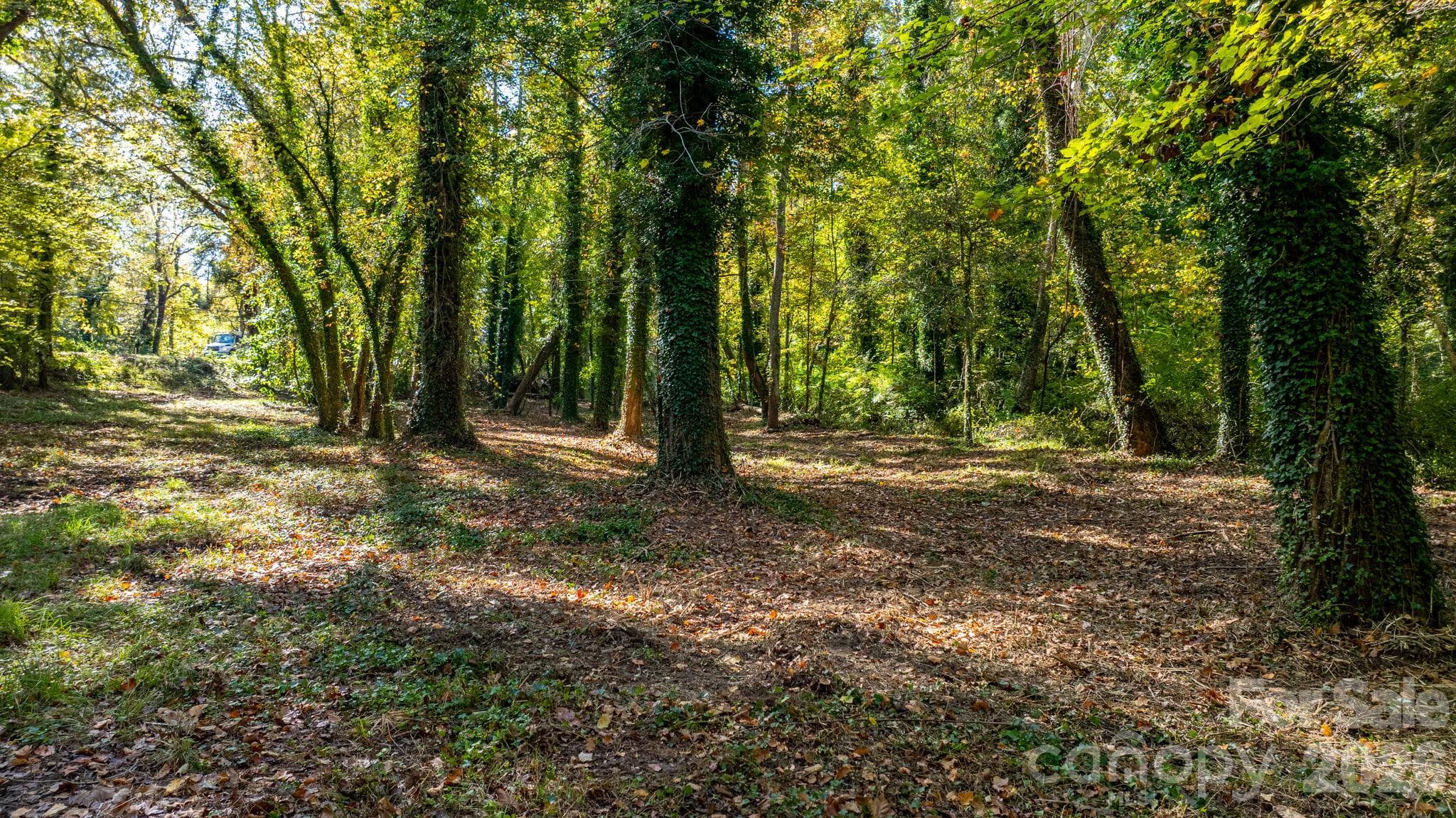 Acreage at 00 6th Street NW, Hickory, photo 13 of 38