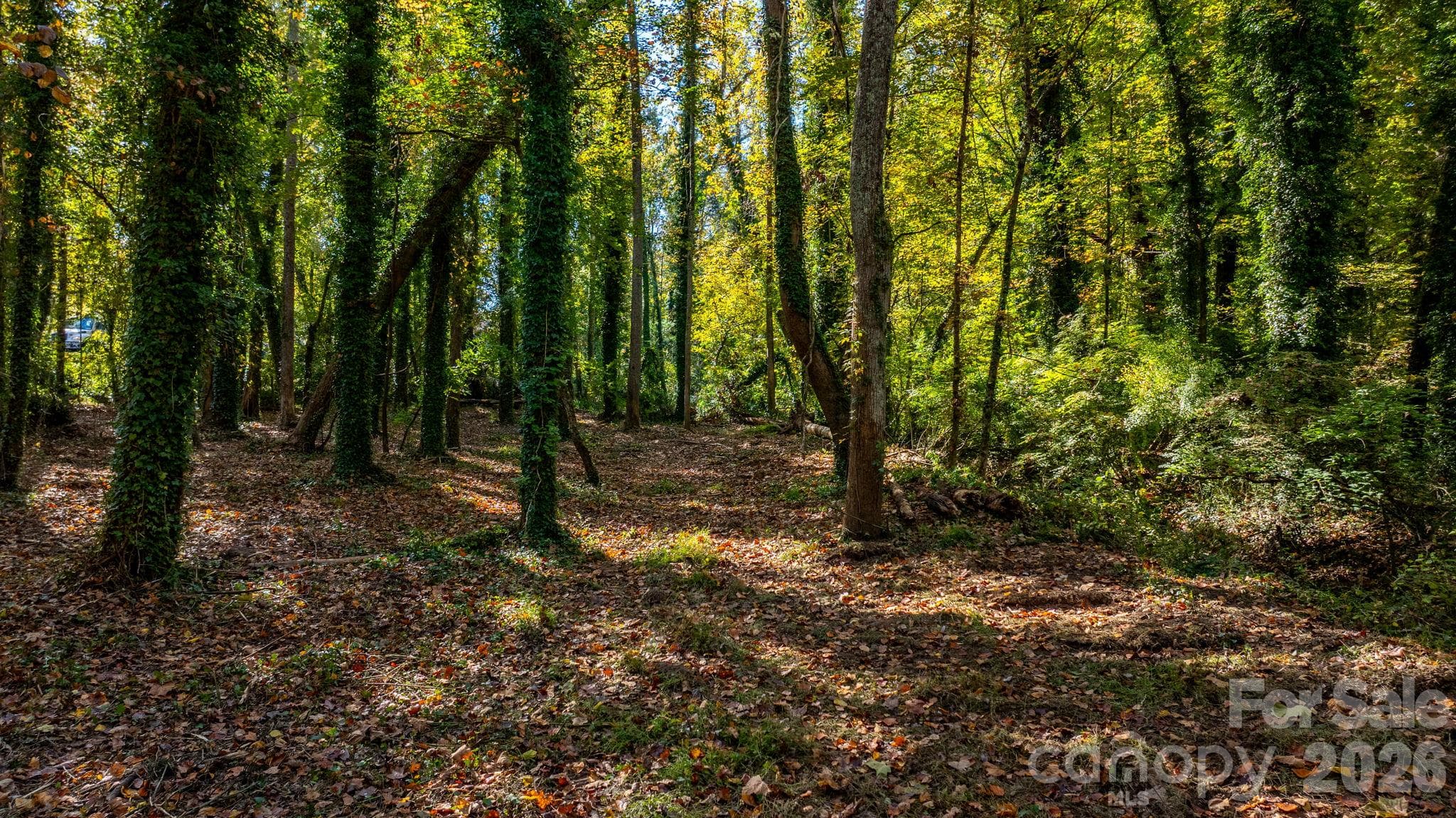 Acreage at 00 6th Street NW, Hickory, photo 15 of 38