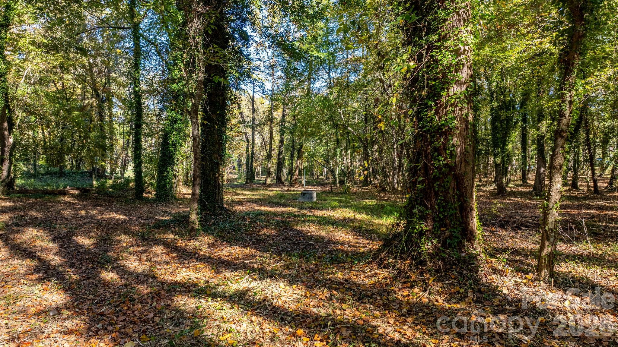 Acreage at 00 6th Street NW, Hickory, photo 16 of 38