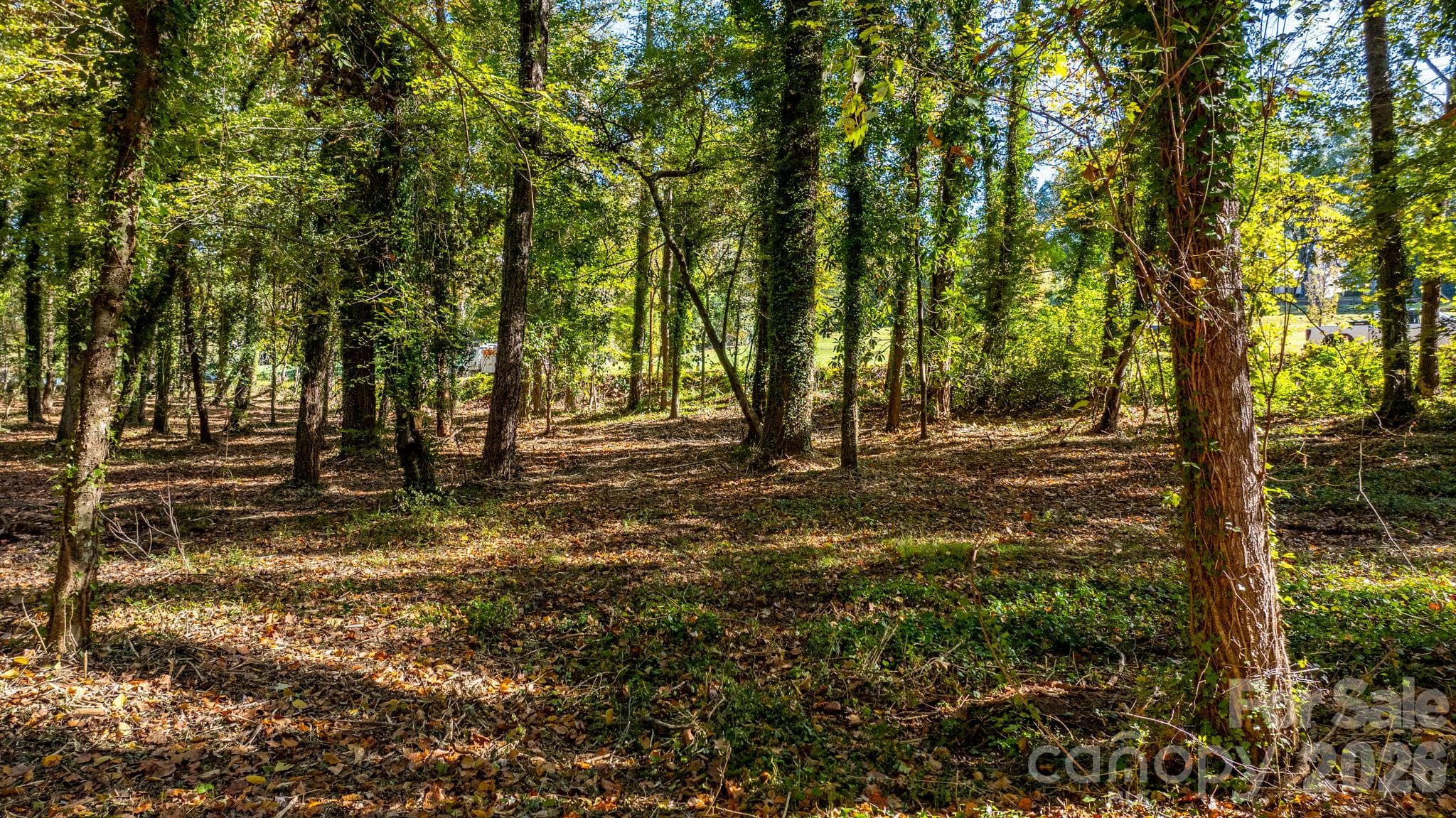 Acreage at 00 6th Street NW, Hickory, photo 17 of 38