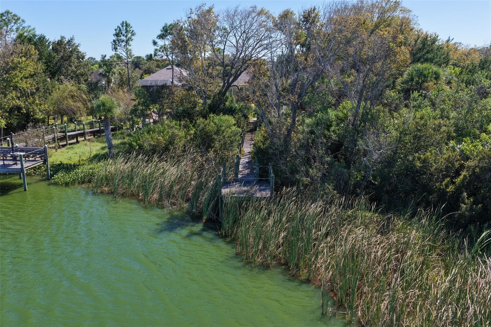 A private walkway winds through the natural landscape to a lakeside dock overlooking Emerald Lake. - 25 EMERALD LAKE CT, PALM COAST