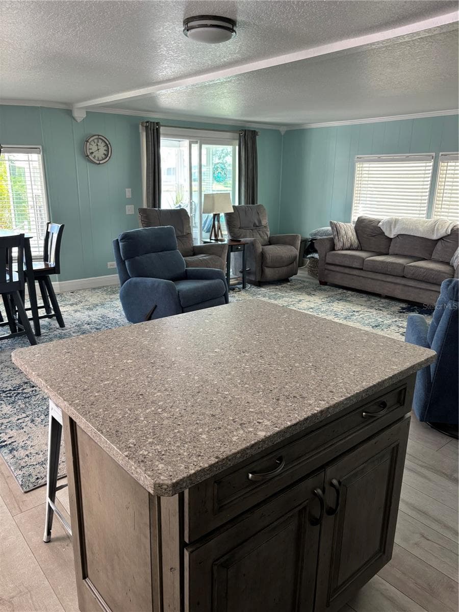 Kitchen - 20 MOUNTAIN LAUREL DR, PALM HARBOR