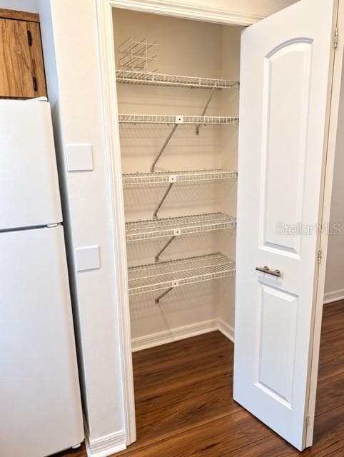 Spacious pantry in kitchen - 3645 SE 48 ST, OCALA
