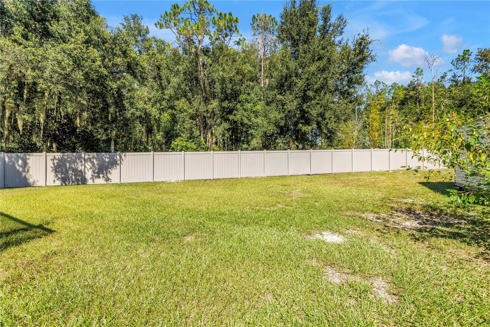 Single Family Residence at 18520 SUNWARD LAKE PL, LUTZ, photo 47 of 58