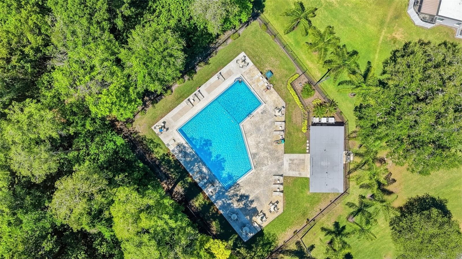 Community pool - 2729 FOXFIRE CT #C, CLEARWATER