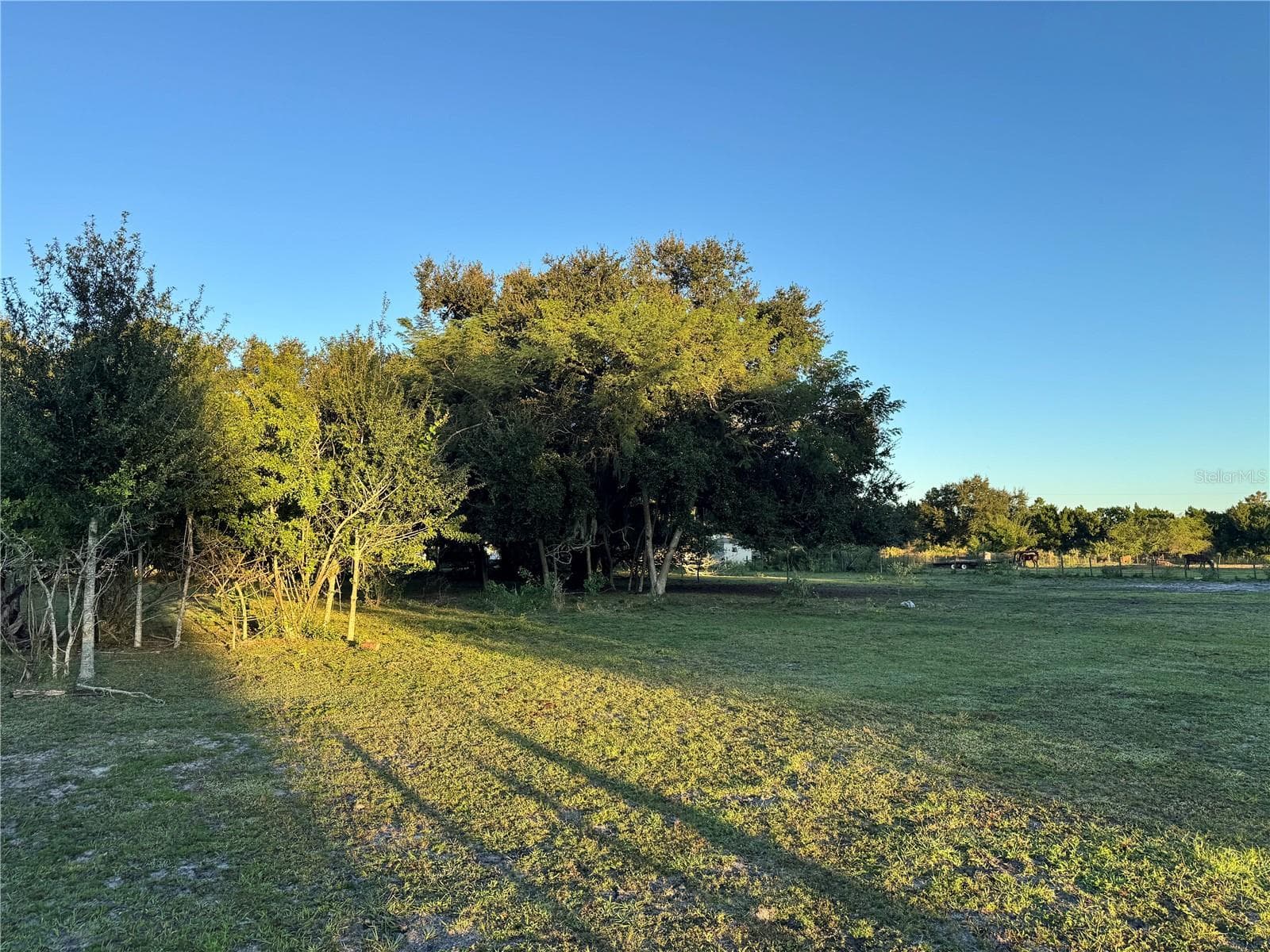 Land at 1804 ZIPPERER RD, BRADENTON, photo 12 of 22