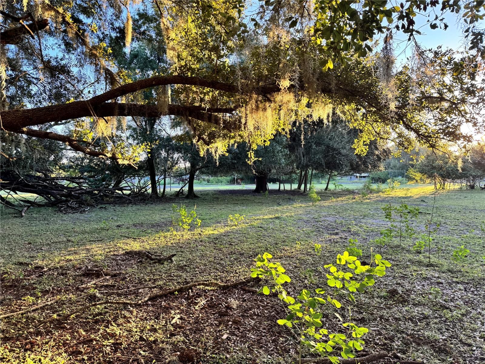 Land at 1804 ZIPPERER RD, BRADENTON, photo 16 of 22