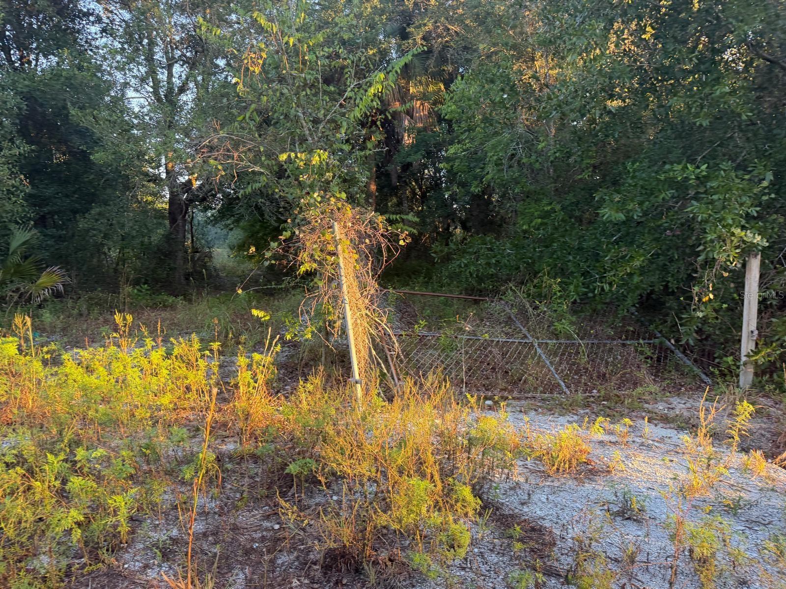 Land at 19835 NW 298TH ST, OKEECHOBEE, photo 3 of 6