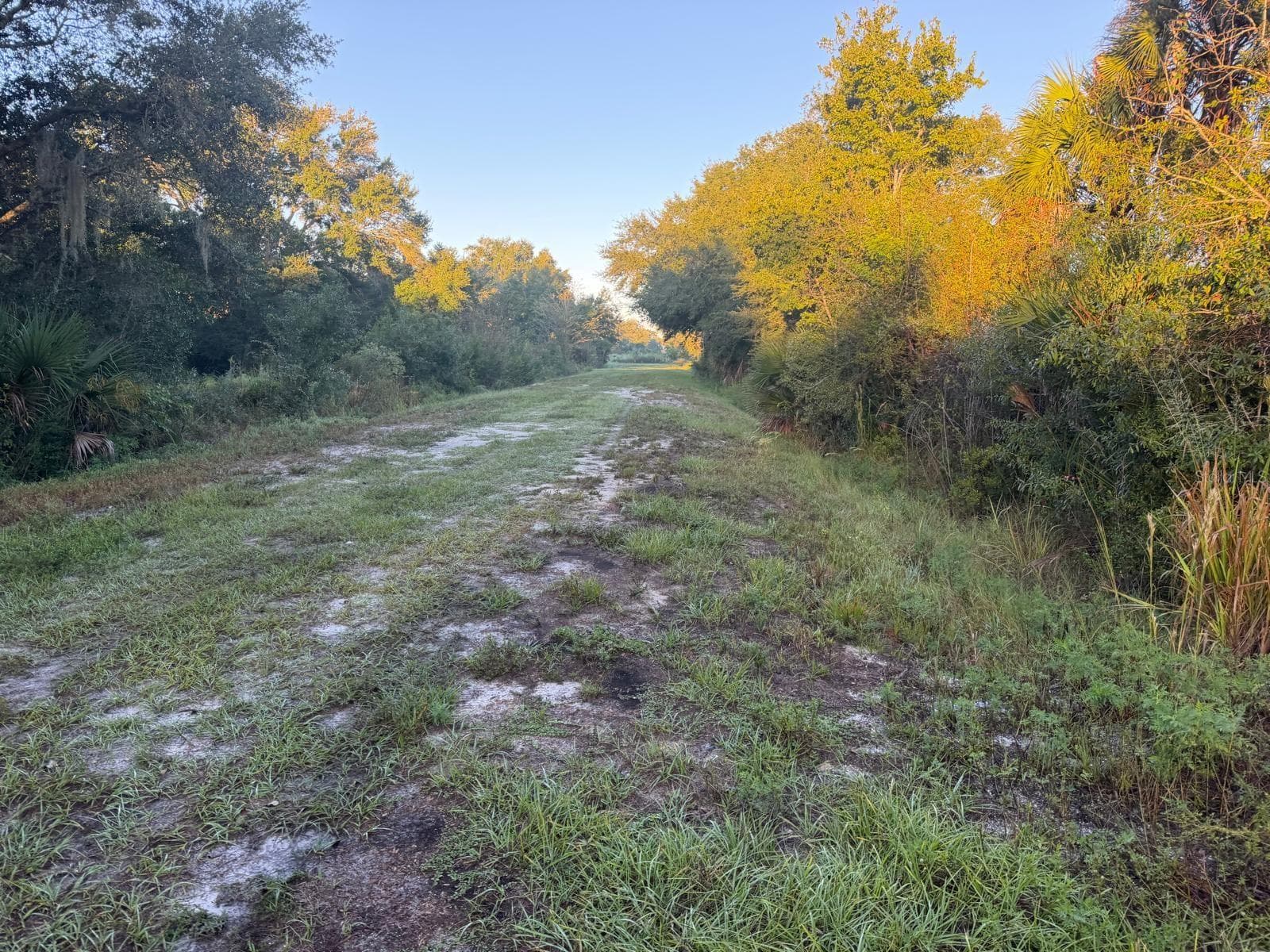Land at 19835 NW 298TH ST, OKEECHOBEE, photo 5 of 6