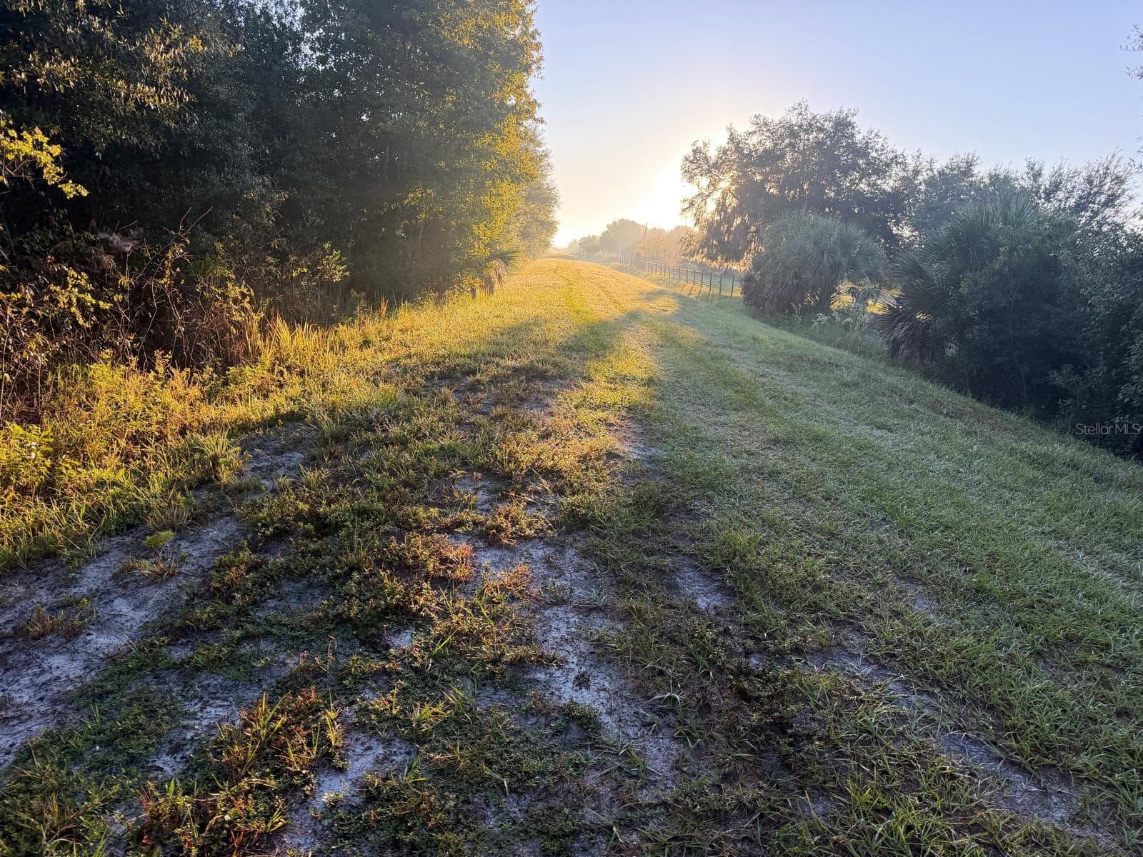 Land at 19835 NW 298TH ST, OKEECHOBEE, photo 6 of 6