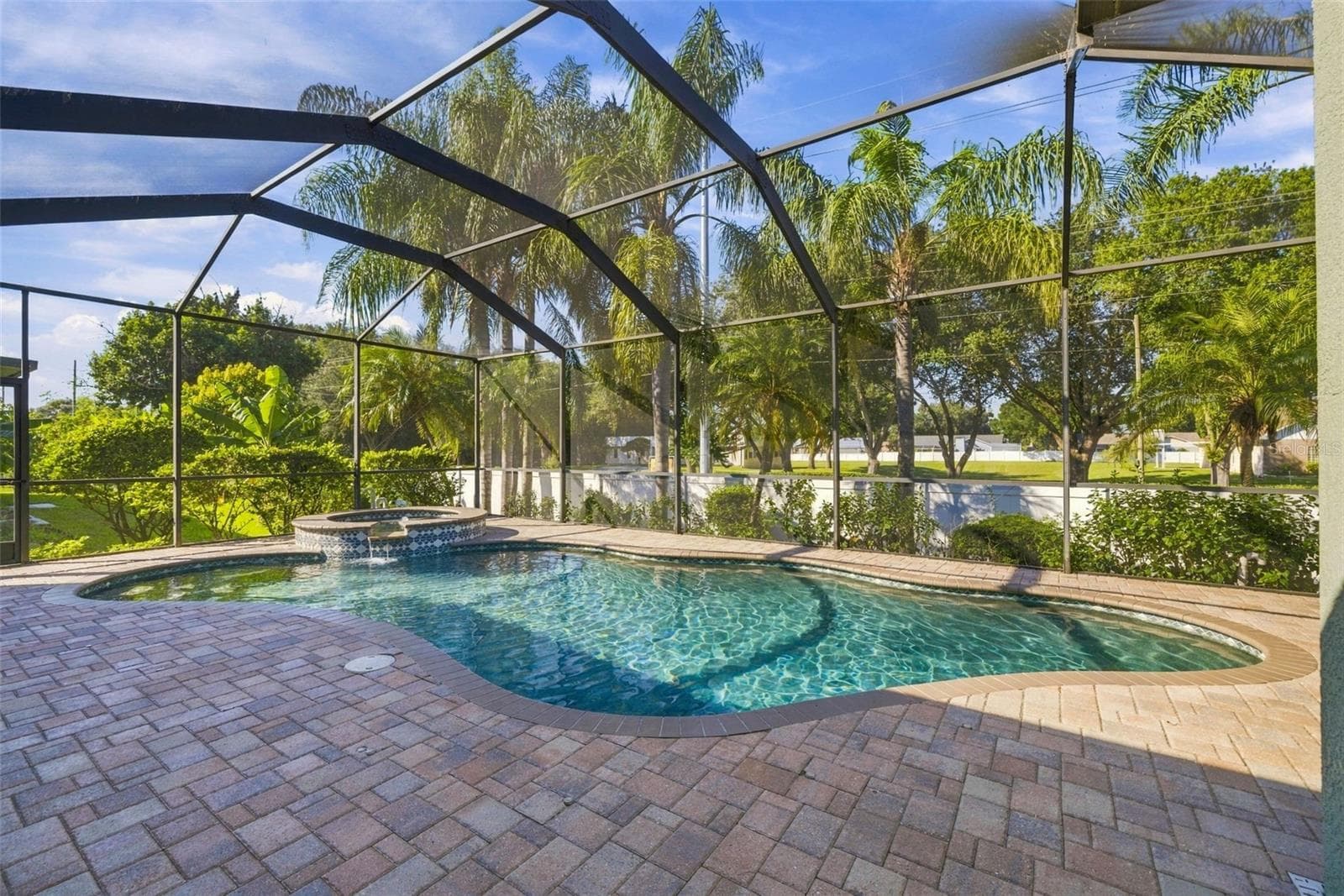 Pool & Spa are a pebble tech surface and stunning! - 3916 VALRICO GROVE DR, VALRICO