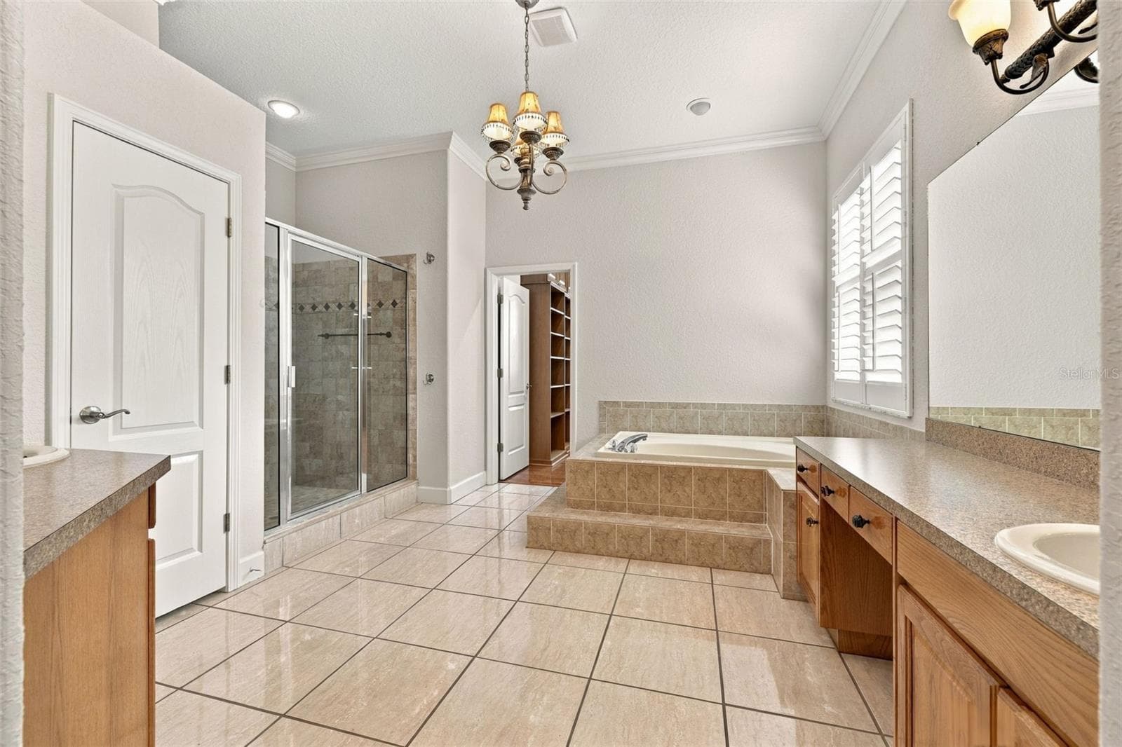 Primary Bathroom! - 3916 VALRICO GROVE DR, VALRICO