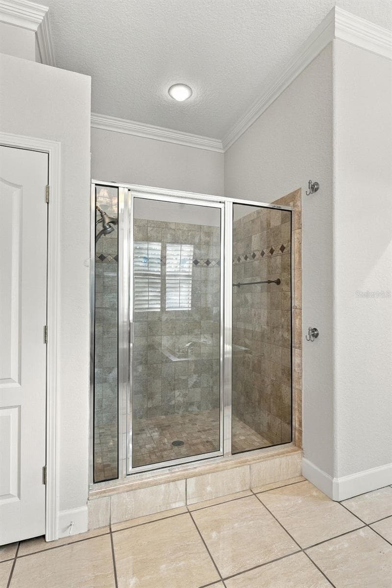 Primary Bathroom Walk in Shower! - 3916 VALRICO GROVE DR, VALRICO