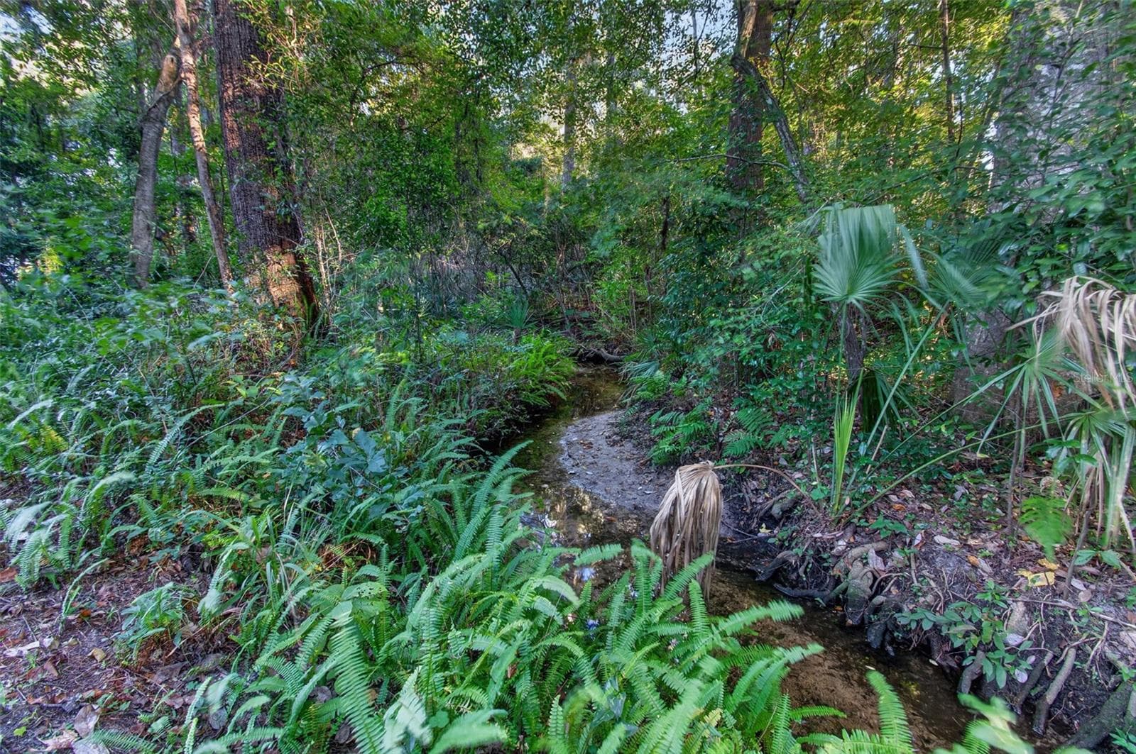 Possum Creek - 4415 NW 33RD CT, GAINESVILLE
