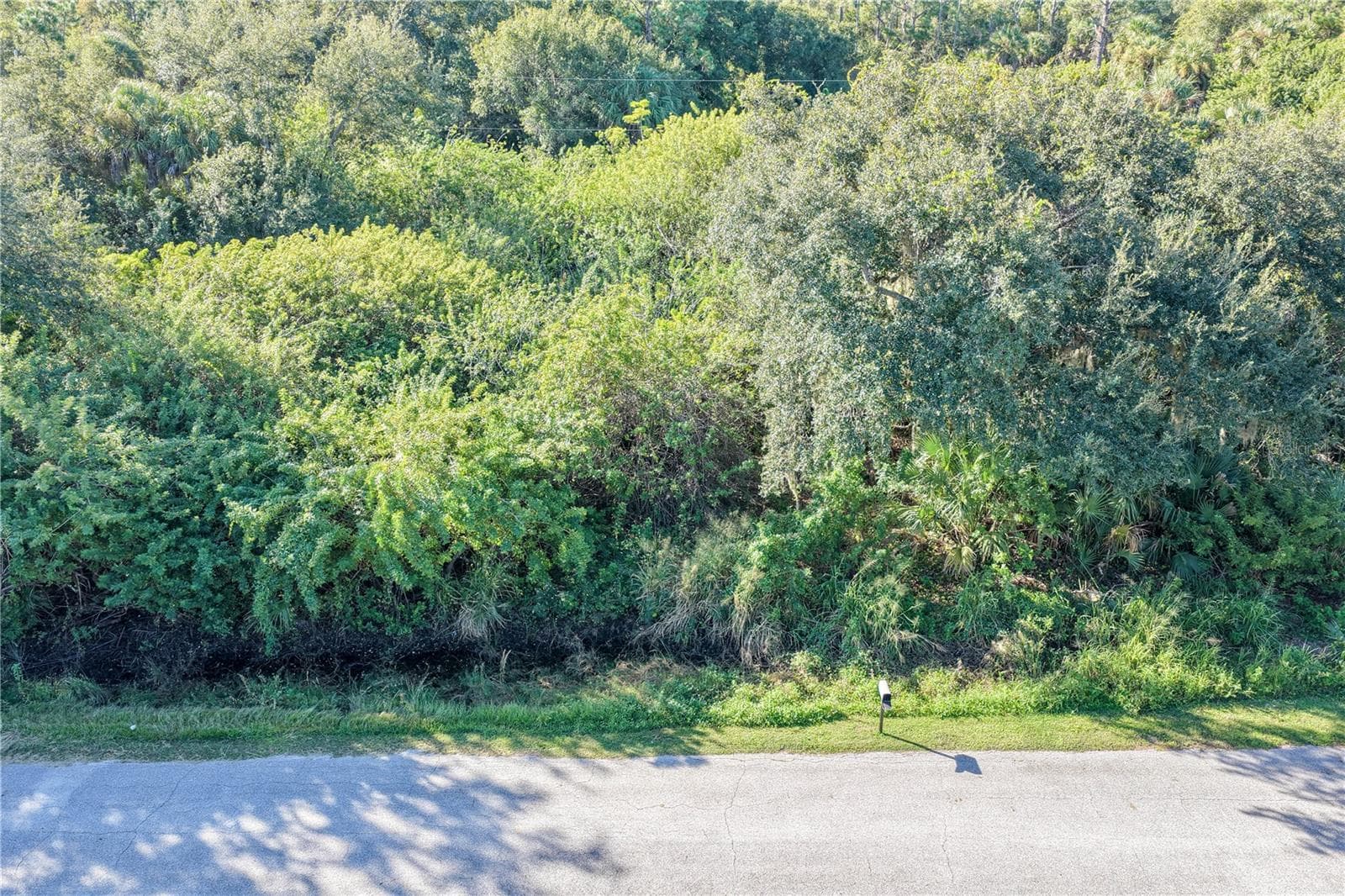 Land at 23367 BUCKNER AVE, PORT CHARLOTTE, photo 6 of 25