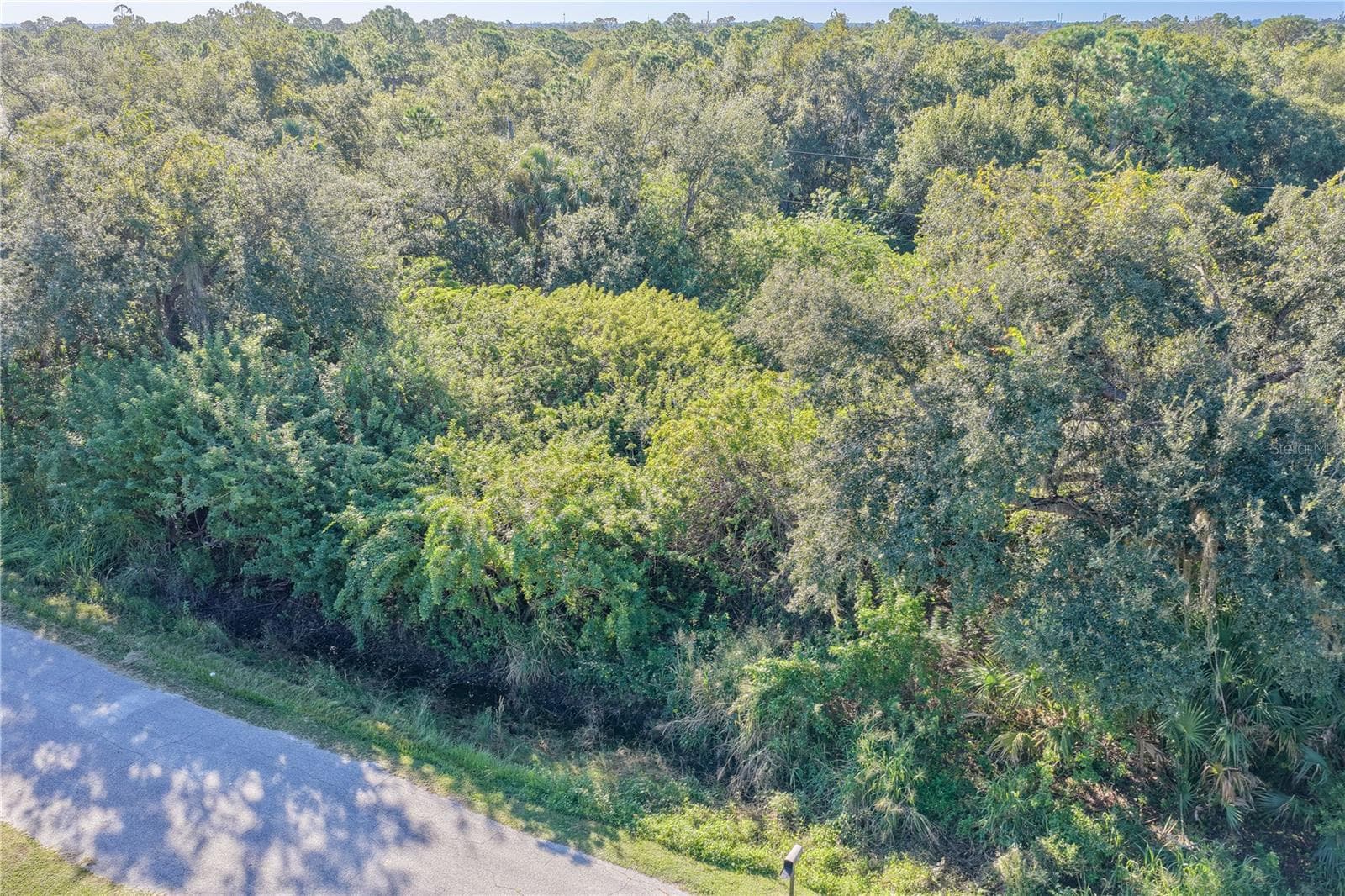 Land at 23367 BUCKNER AVE, PORT CHARLOTTE, photo 7 of 25