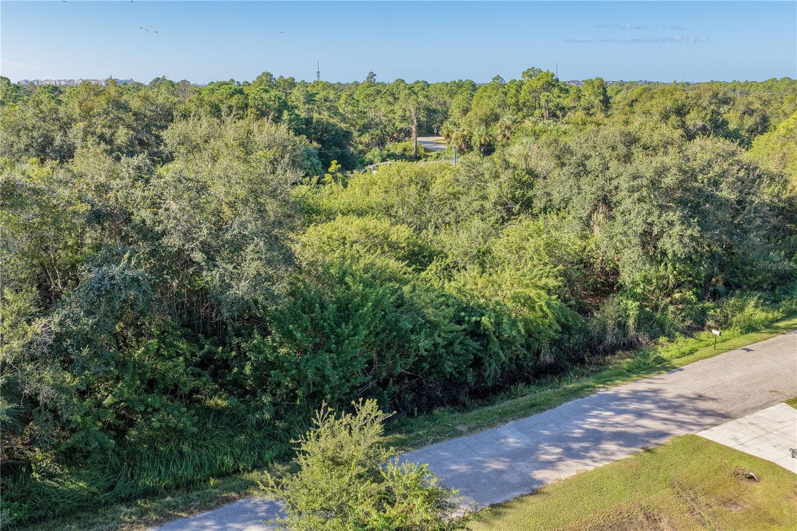 Land at 23367 BUCKNER AVE, PORT CHARLOTTE, photo 8 of 25