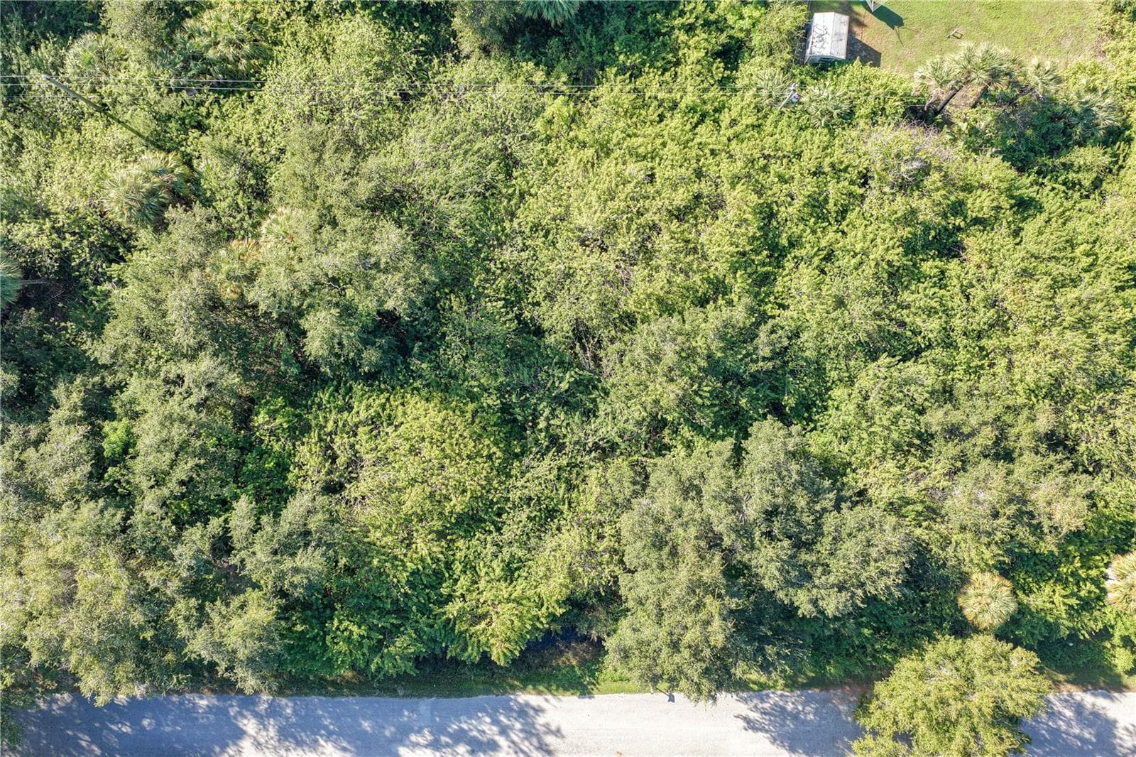 Land at 23367 BUCKNER AVE, PORT CHARLOTTE, photo 9 of 25