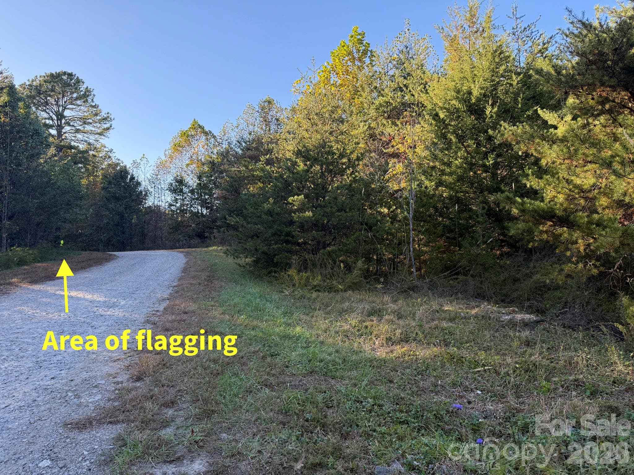 Where the property leaves the road area - V/L Wild Ridges Lane, Marion