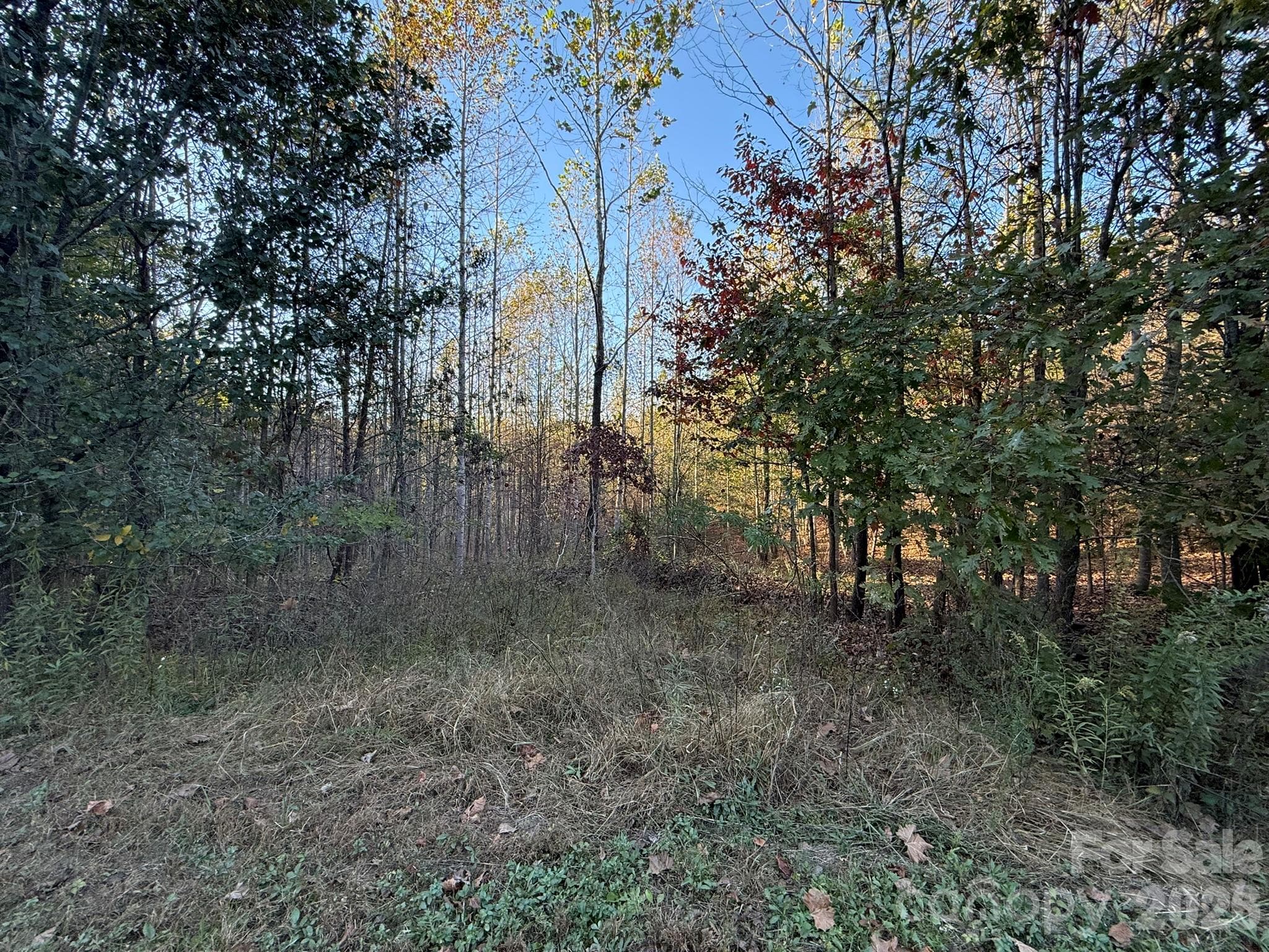 View from Wild Ridges Lane - V/L Wild Ridges Lane, Marion