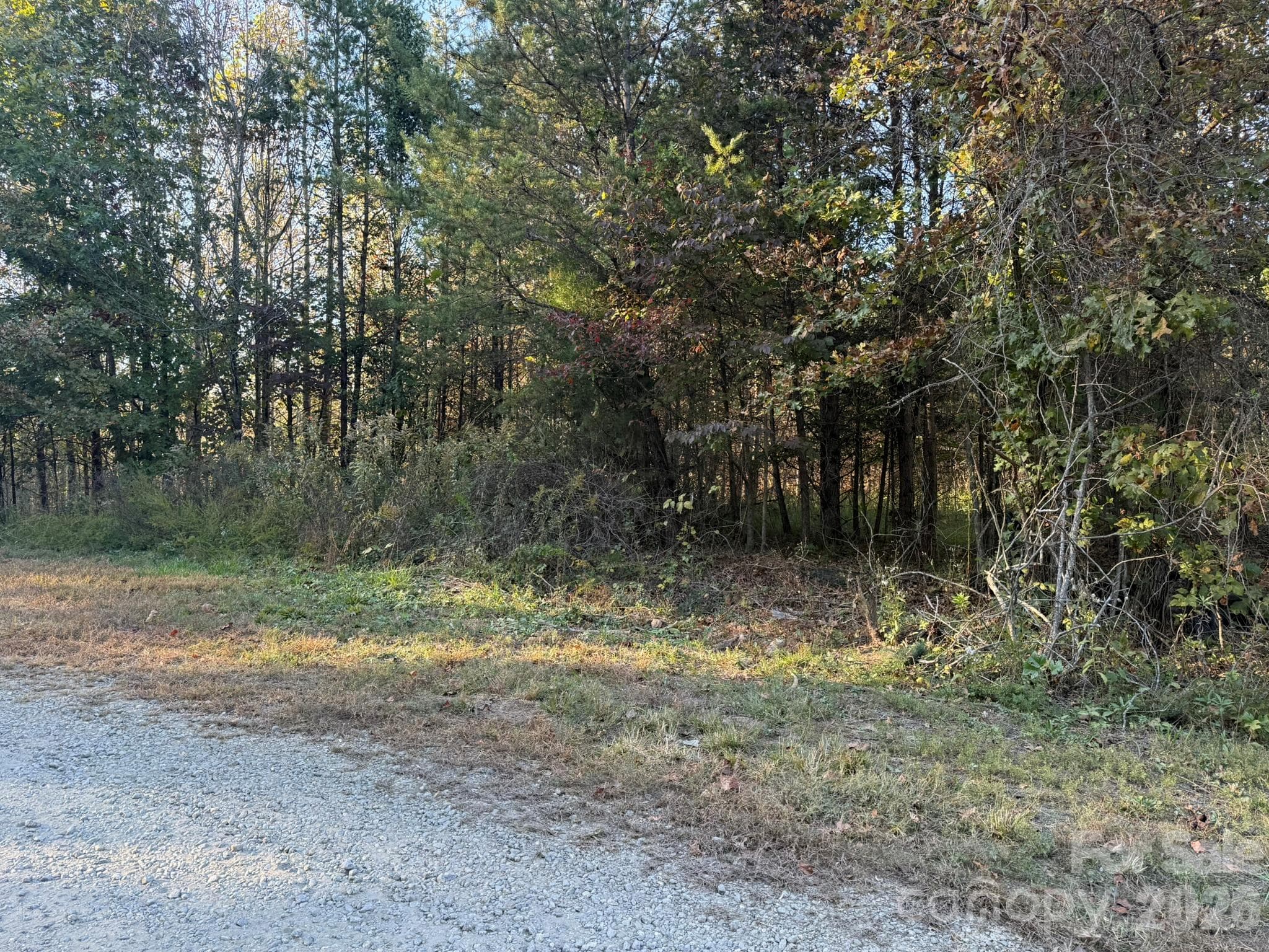 View from Wild Ridges Lane - V/L Wild Ridges Lane, Marion