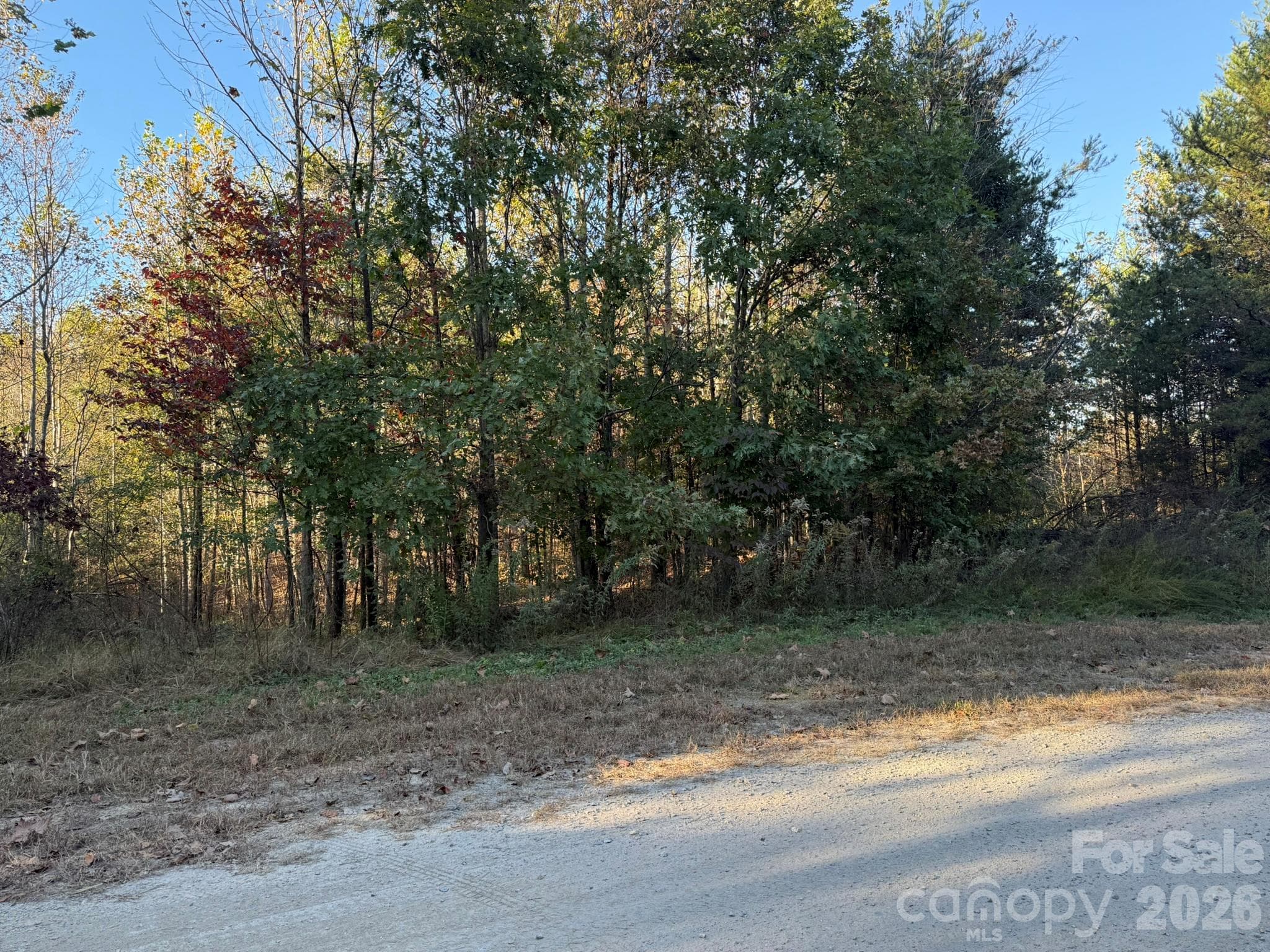 View from Wild Ridges Lane - V/L Wild Ridges Lane, Marion