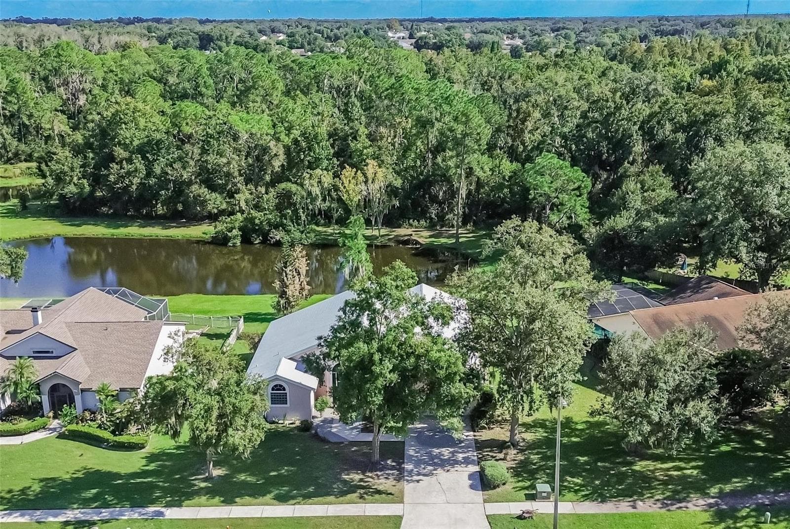 Single Family Residence at 10120 SEDGEBROOK DR, RIVERVIEW, photo 2 of 45