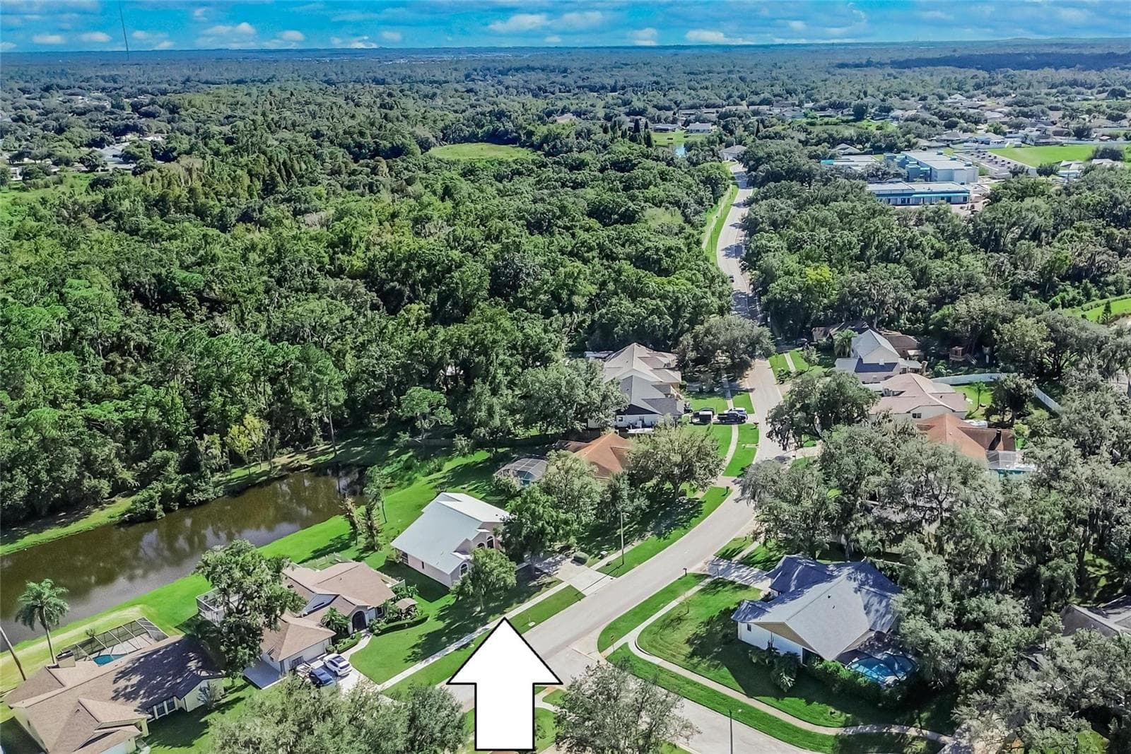 Single Family Residence at 10120 SEDGEBROOK DR, RIVERVIEW, photo 3 of 45