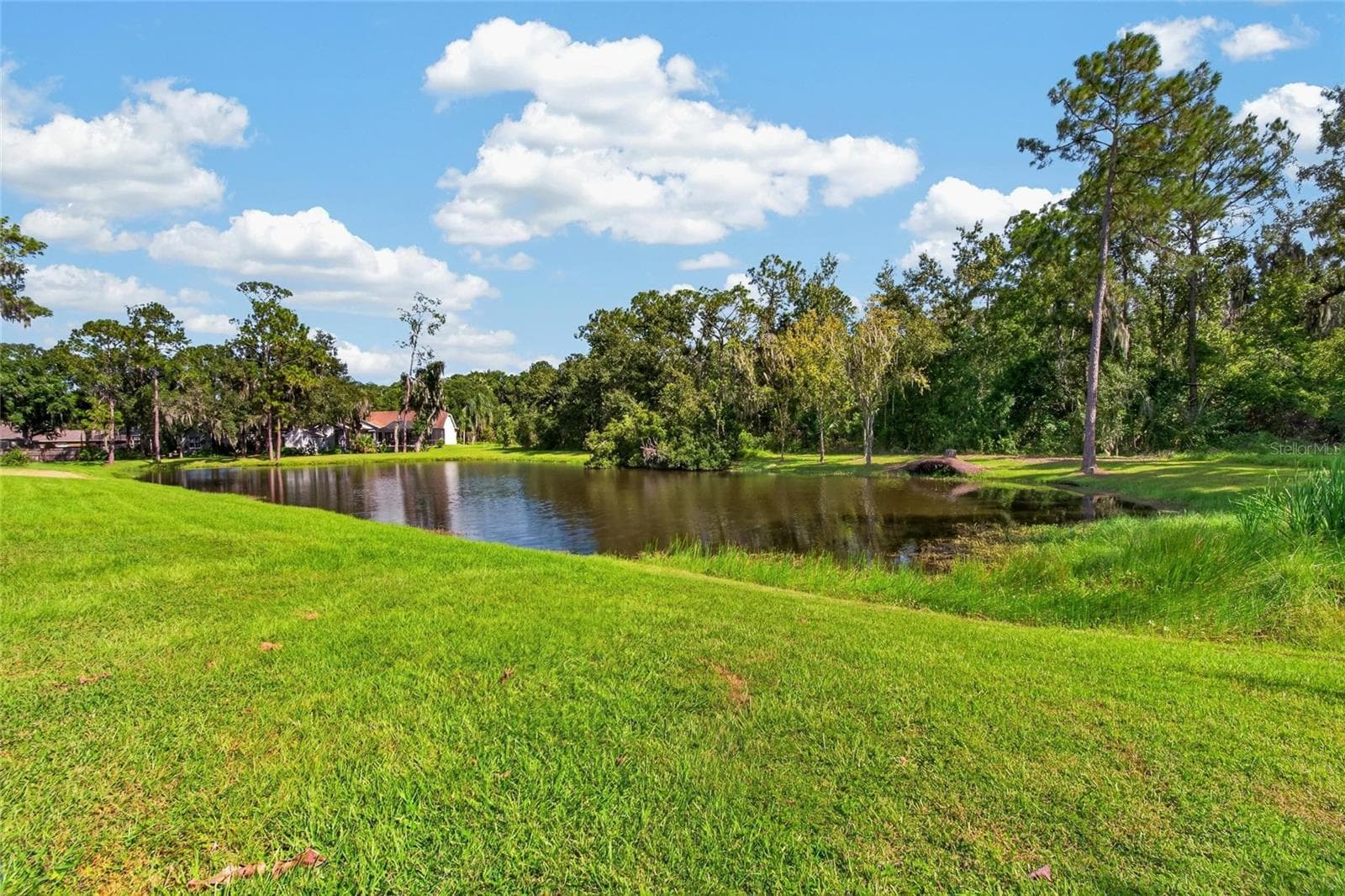 Single Family Residence at 10120 SEDGEBROOK DR, RIVERVIEW, photo 10 of 45