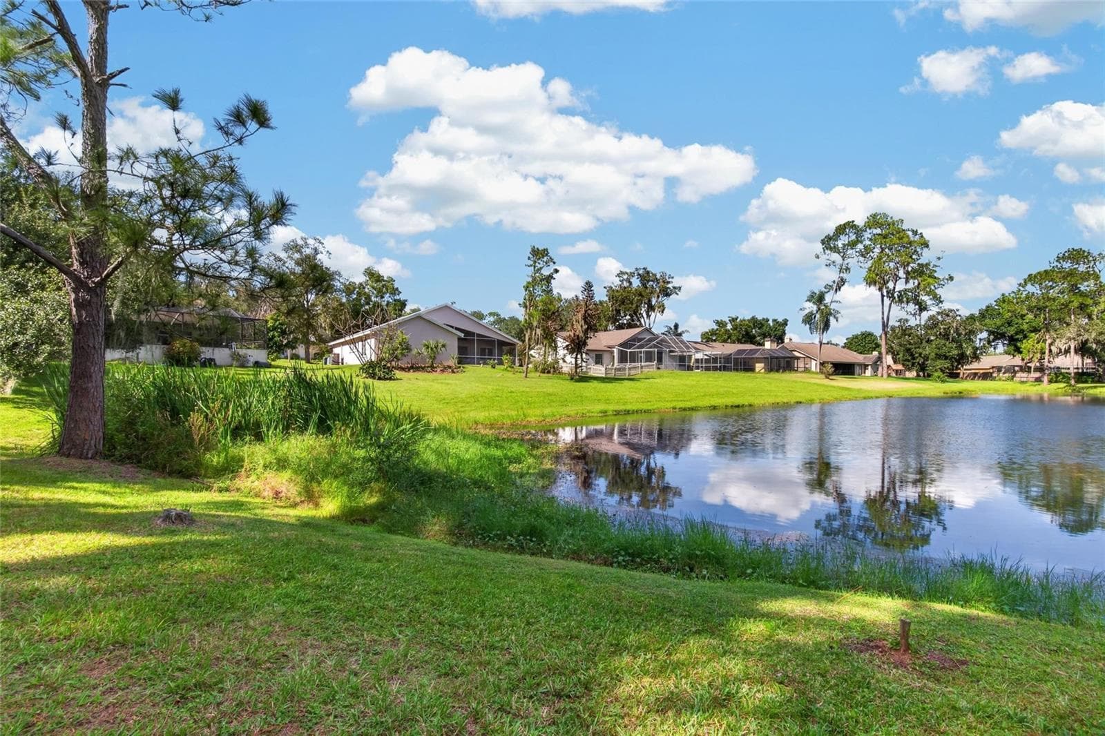 Single Family Residence at 10120 SEDGEBROOK DR, RIVERVIEW, photo 11 of 45