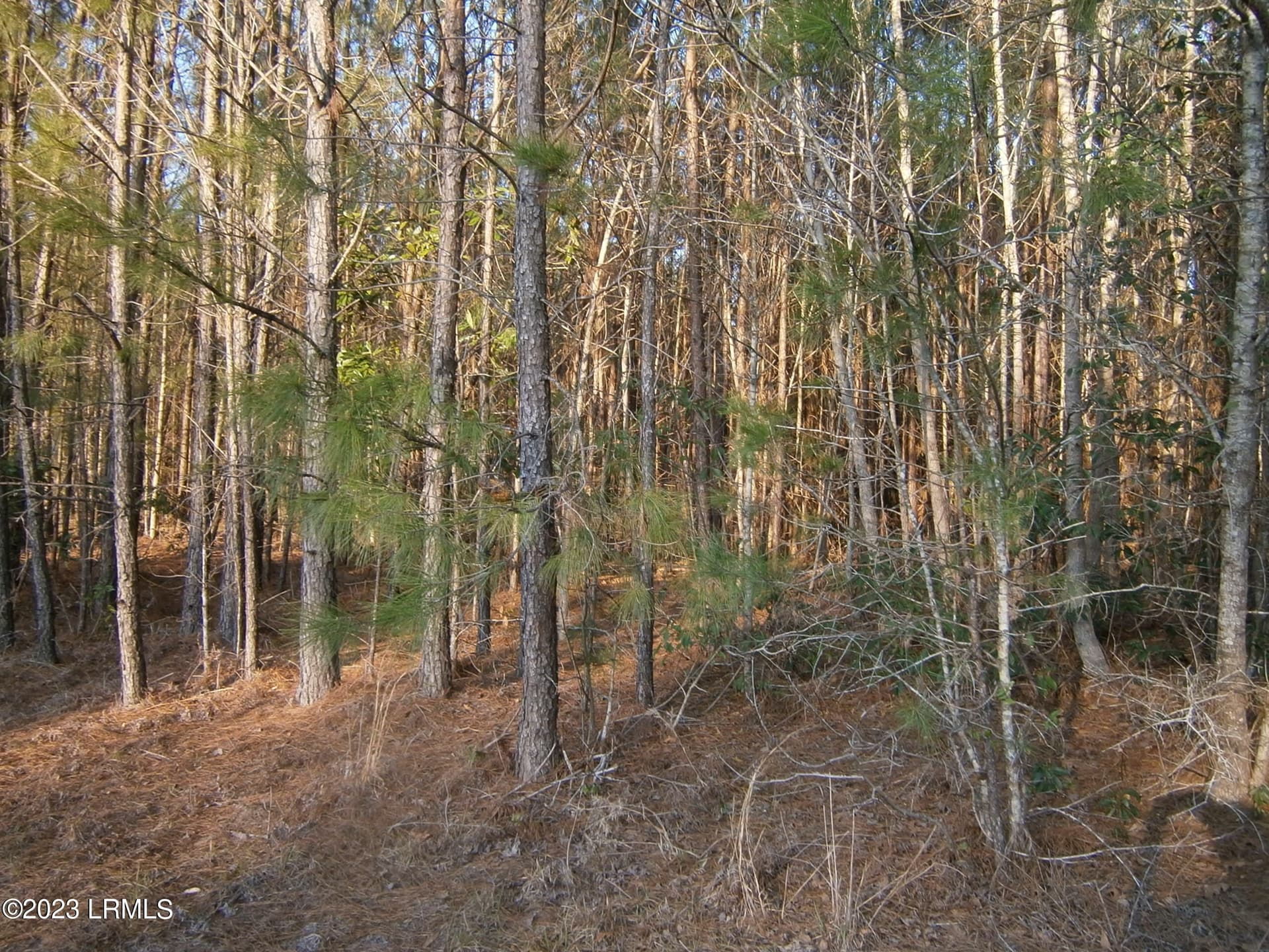 TBD1 Speedway Boulevard Lot - Tbd Dunham Williams Road, Hardeeville, SC 29927