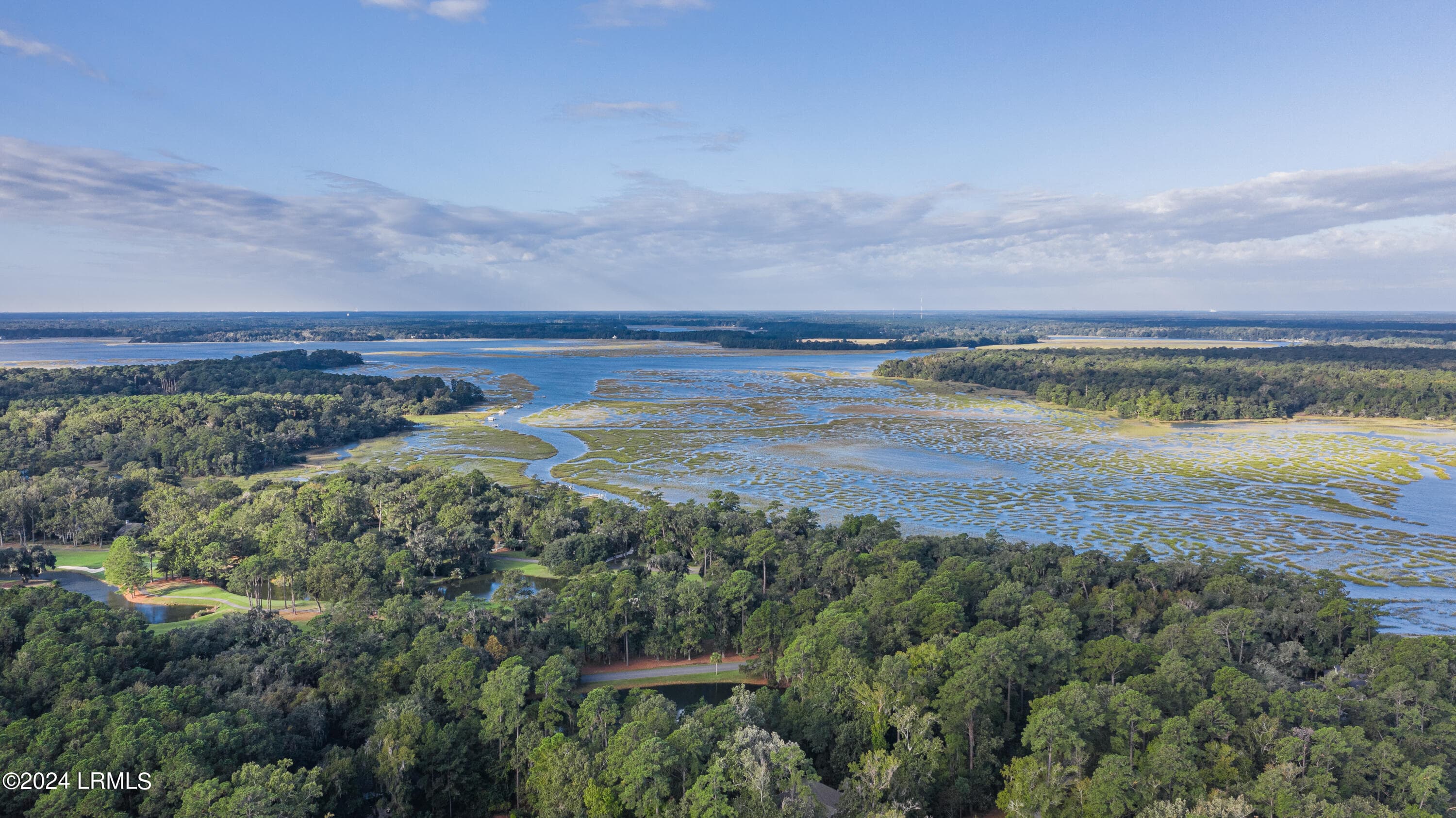 DJI_0043-HDR - 63 Osprey Circle, Okatie, SC 29909