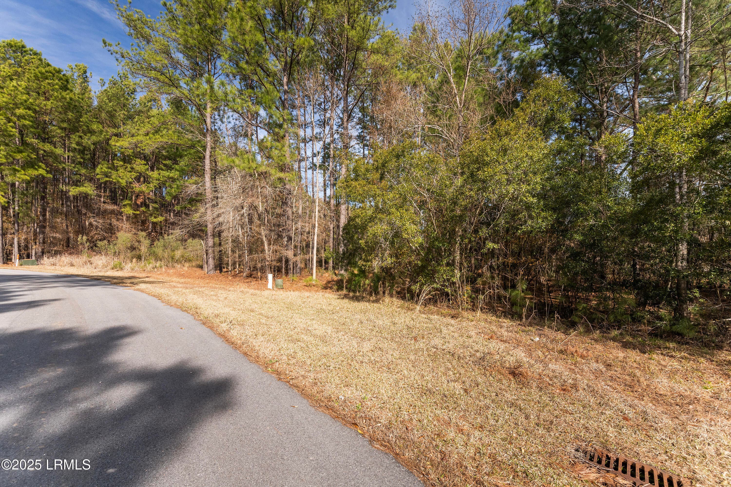 Nowlin Properties_65 - 276 Twickenham Loop, Yemassee, SC 29945