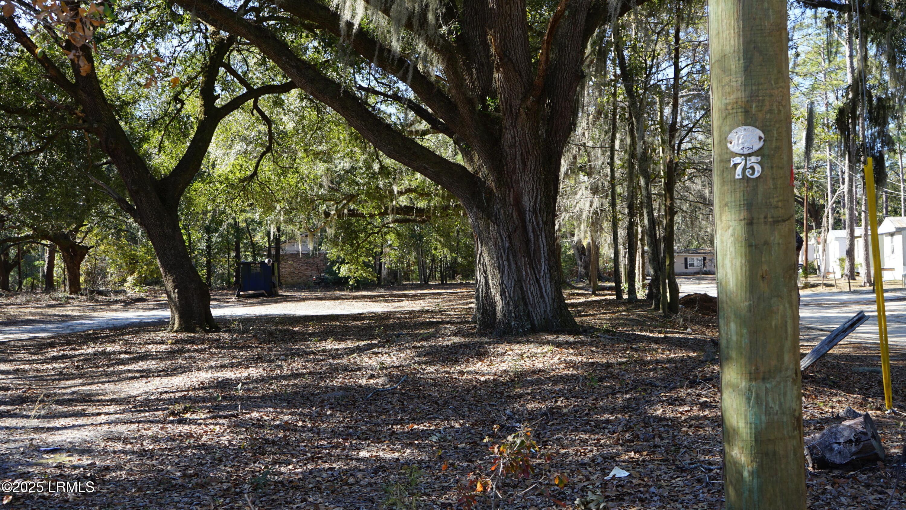 DSC07652 - 109 Crosby Street, Walterboro, SC 29488