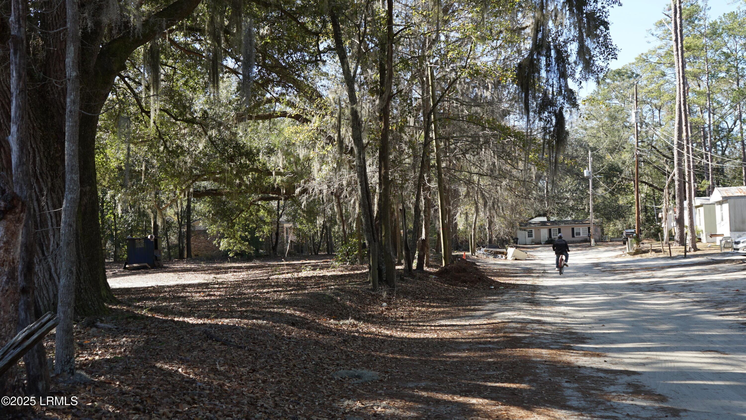 DSC07654 - 109 Crosby Street, Walterboro, SC 29488