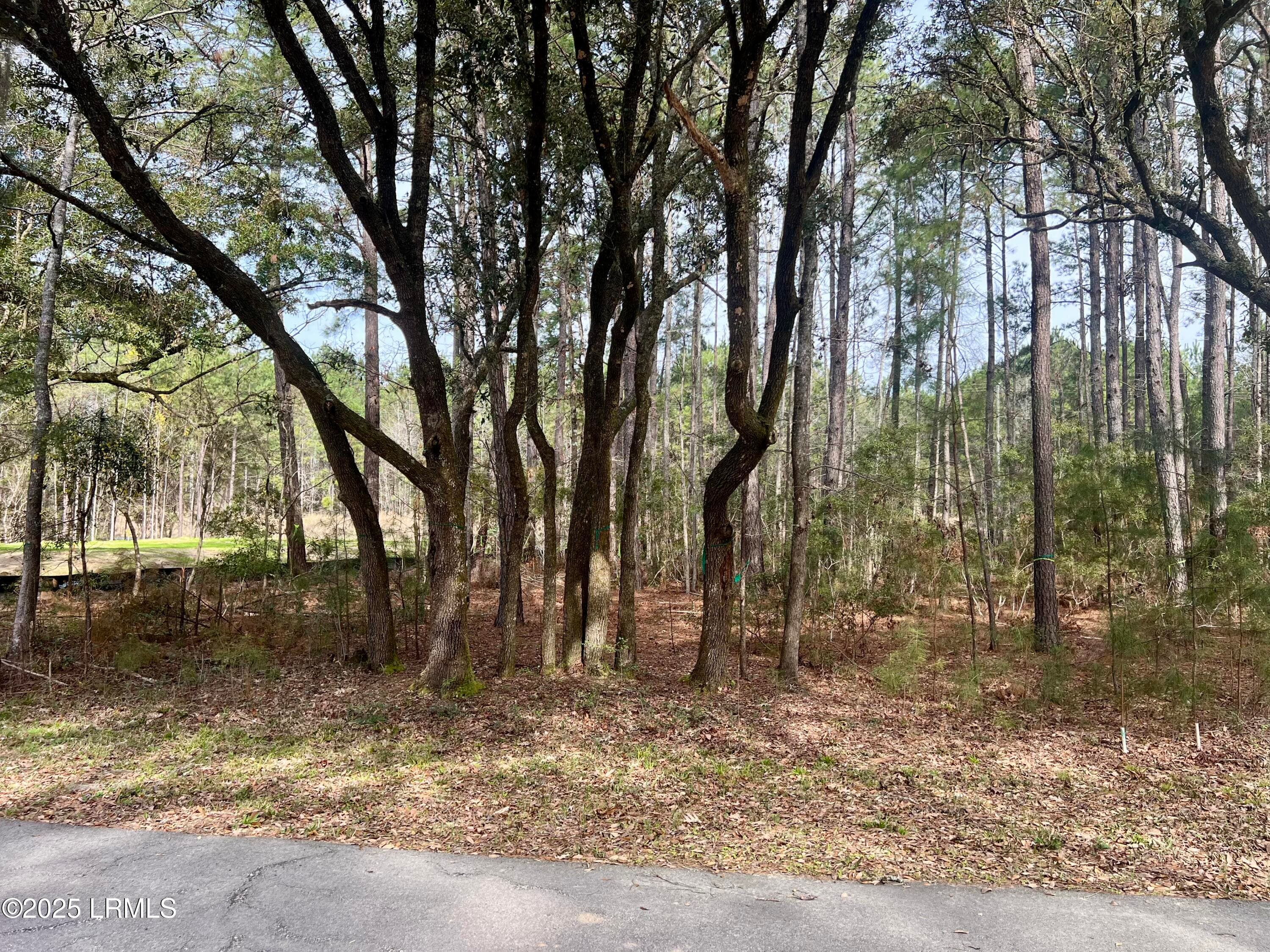 Lot 28 - 237 Founders Oak Way, Yemassee, SC 29945