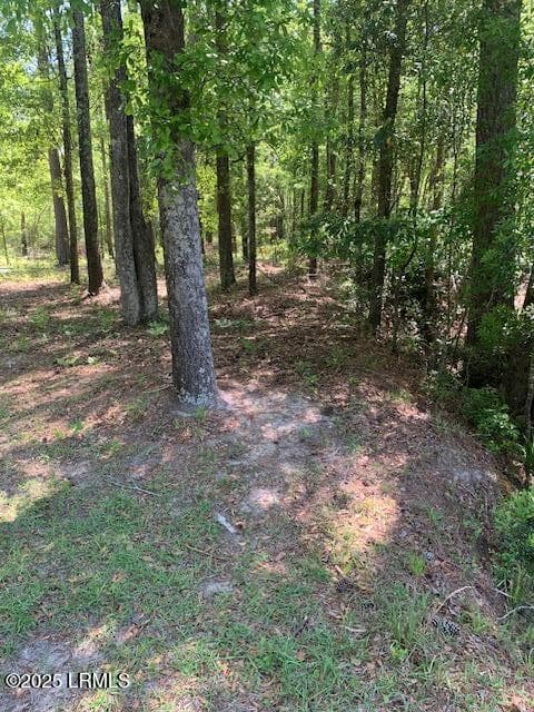 Back Property line - 625 Elm Street W, Hampton, SC 29924, Hampton