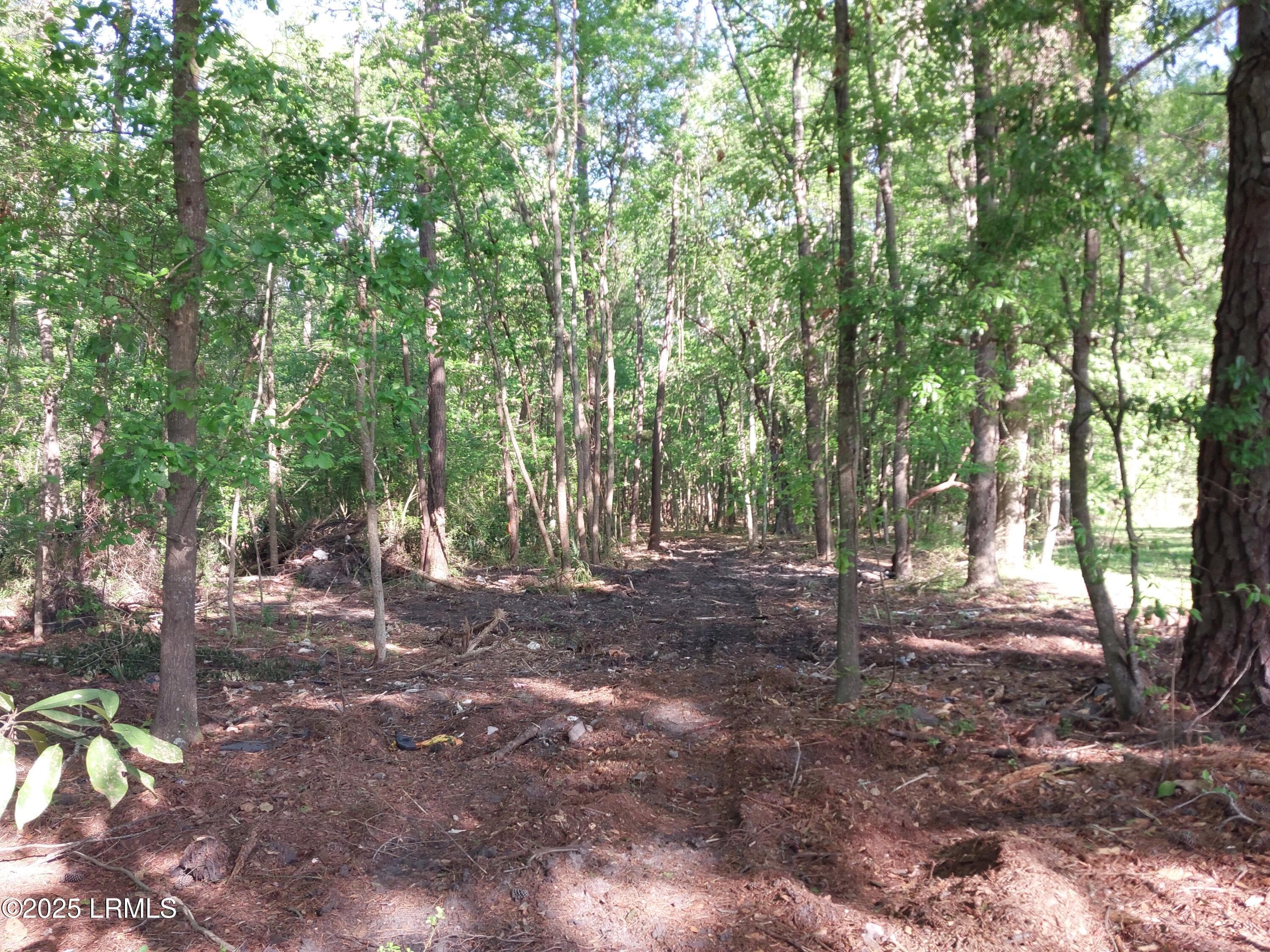 20250414_093036 - Tbd Charleston Highway, Sheldon, SC 29941